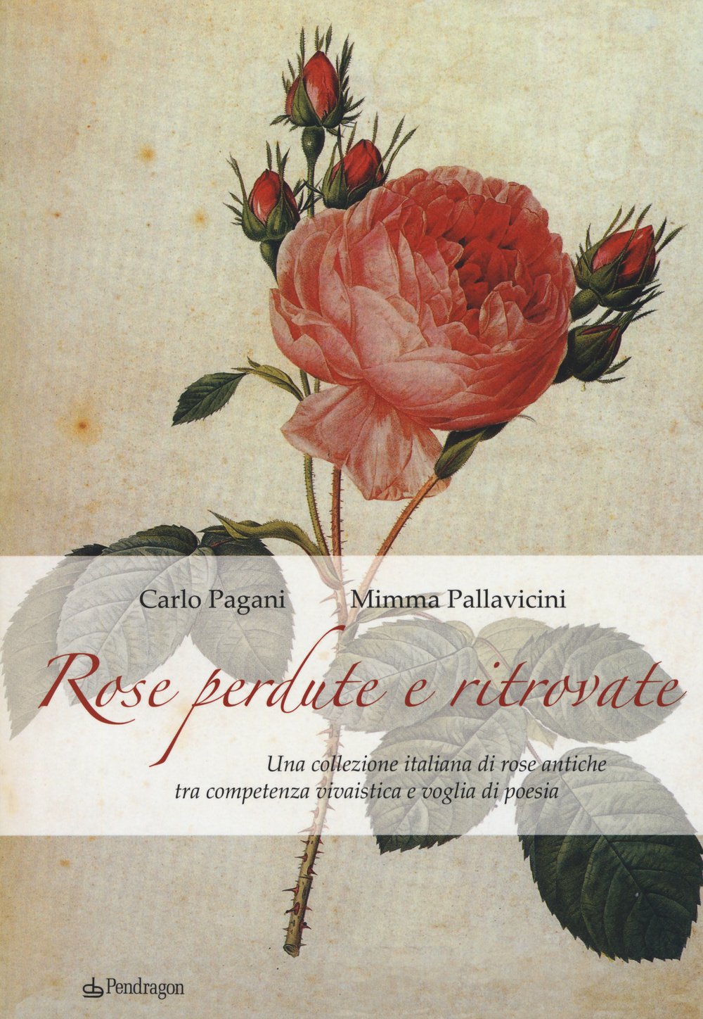 Rose perdute e ritrovate. Una collezione italiana di rose antiche tra campetenza vivaistica e voglia di poesia Garden & Plants