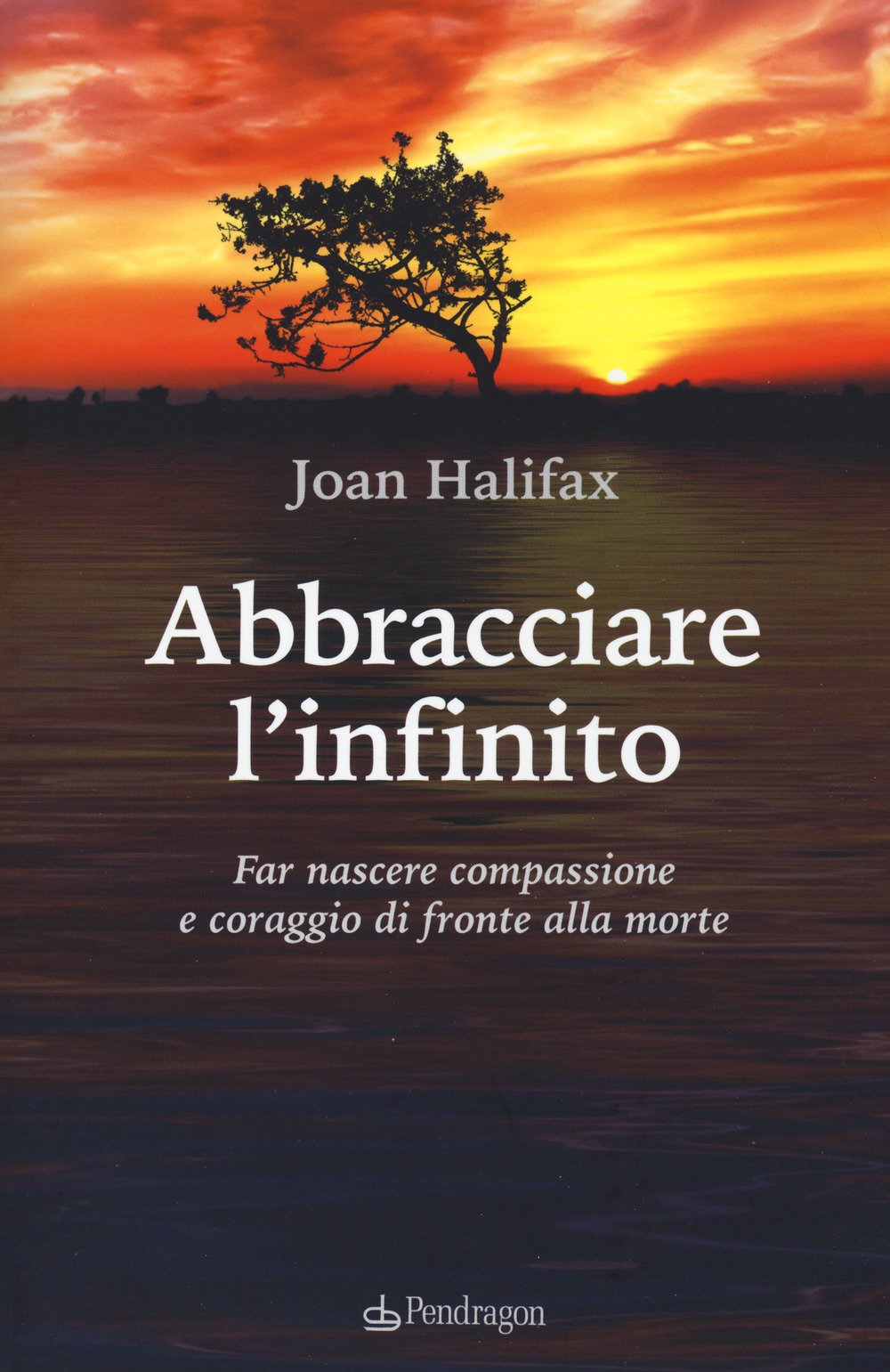 Abbracciare l'infinito. Far nascere compassione e coraggio di fronte alla morte book