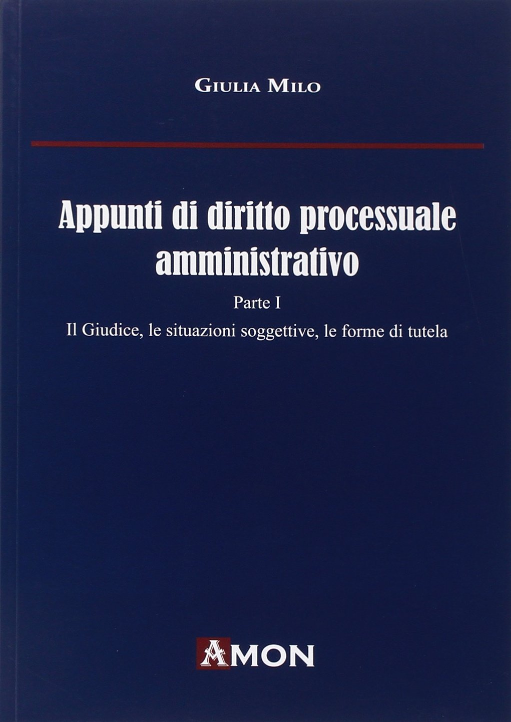 Appunti di diritto processuale amministrativo. Il giudice, le situazioni soggettive, le forme di tutela (Vol. 1) book