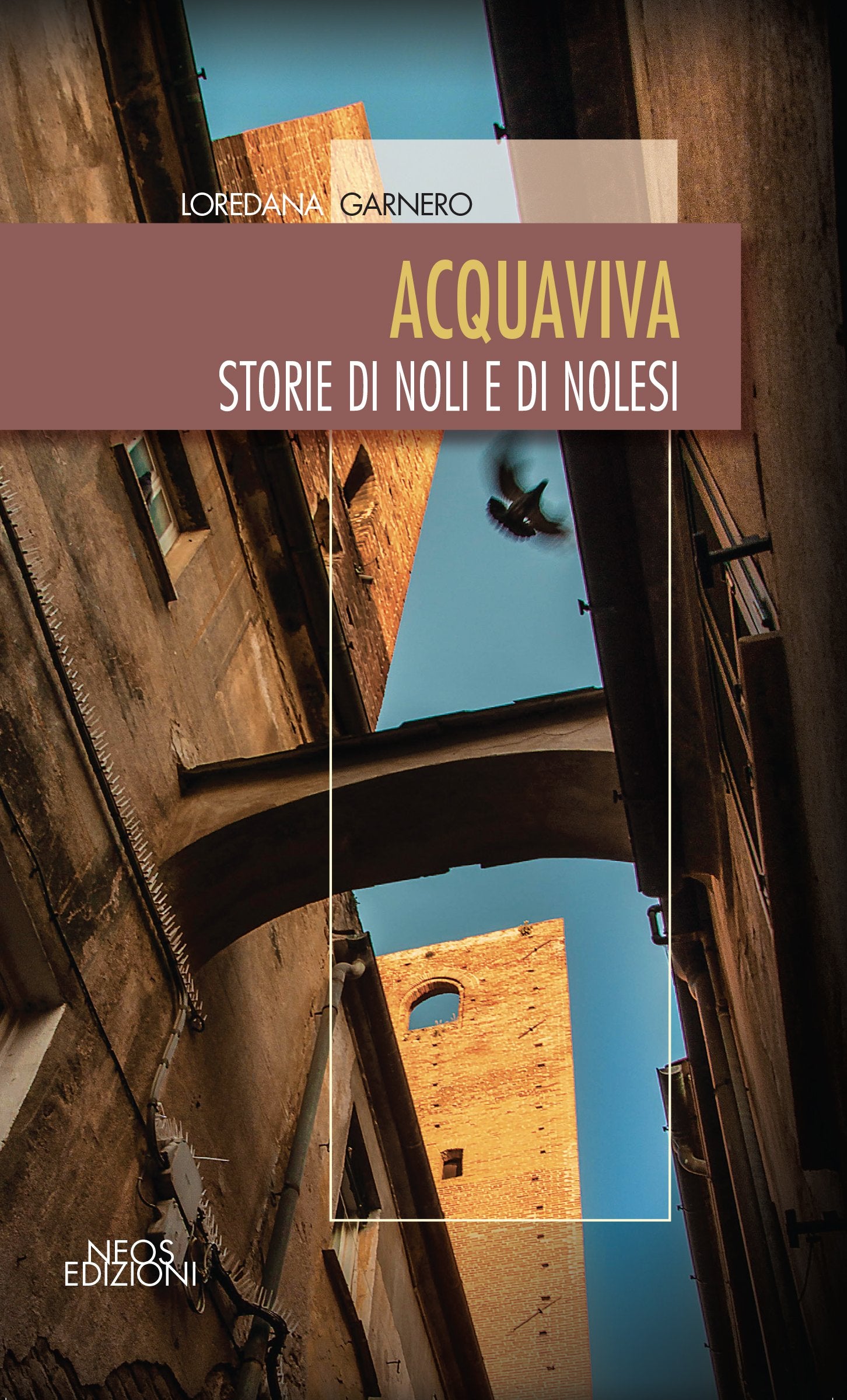 Acquaviva. Storie di Noli e di nolesi book