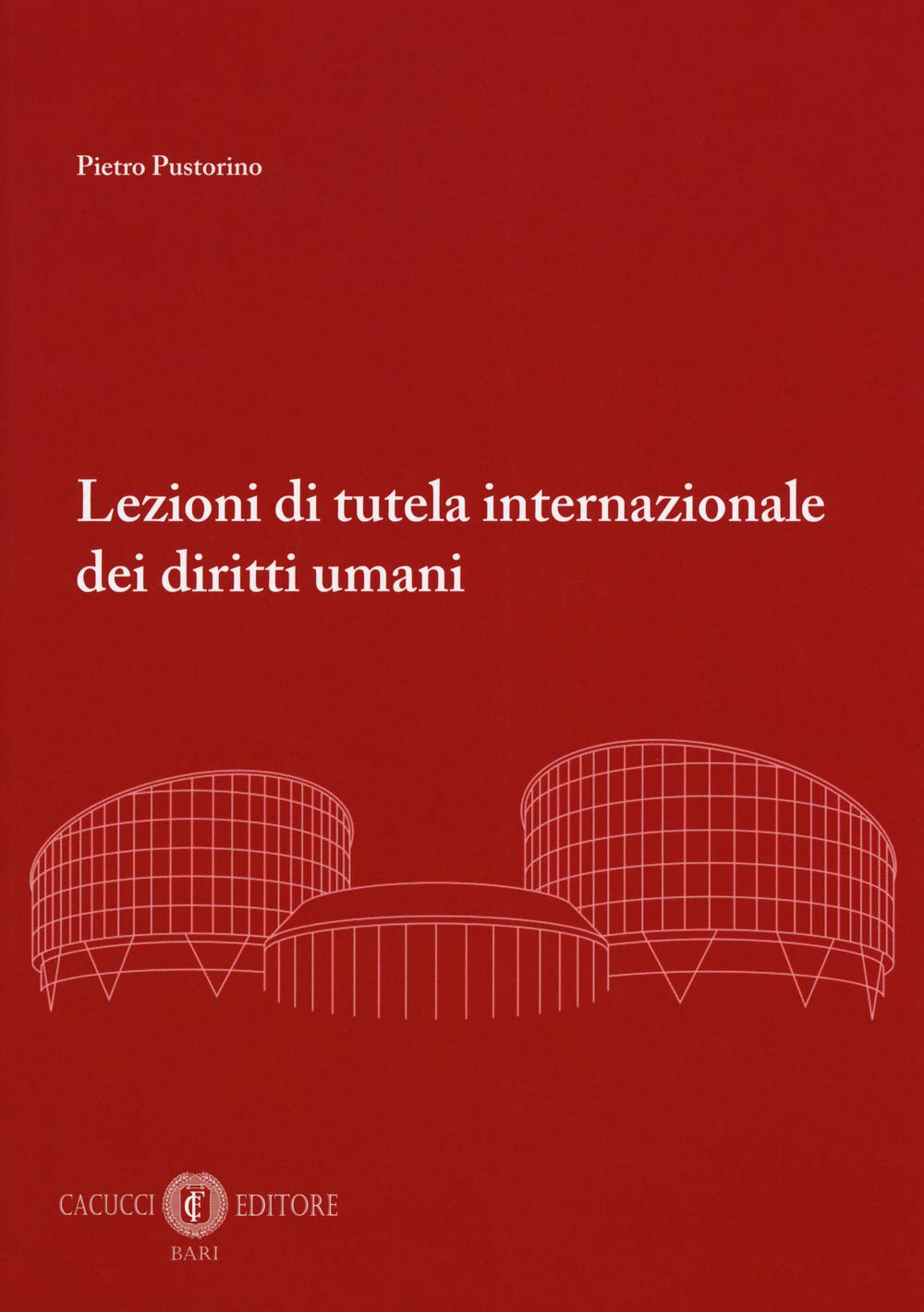 Lezioni di tutela internazionale dei diritti umani Law