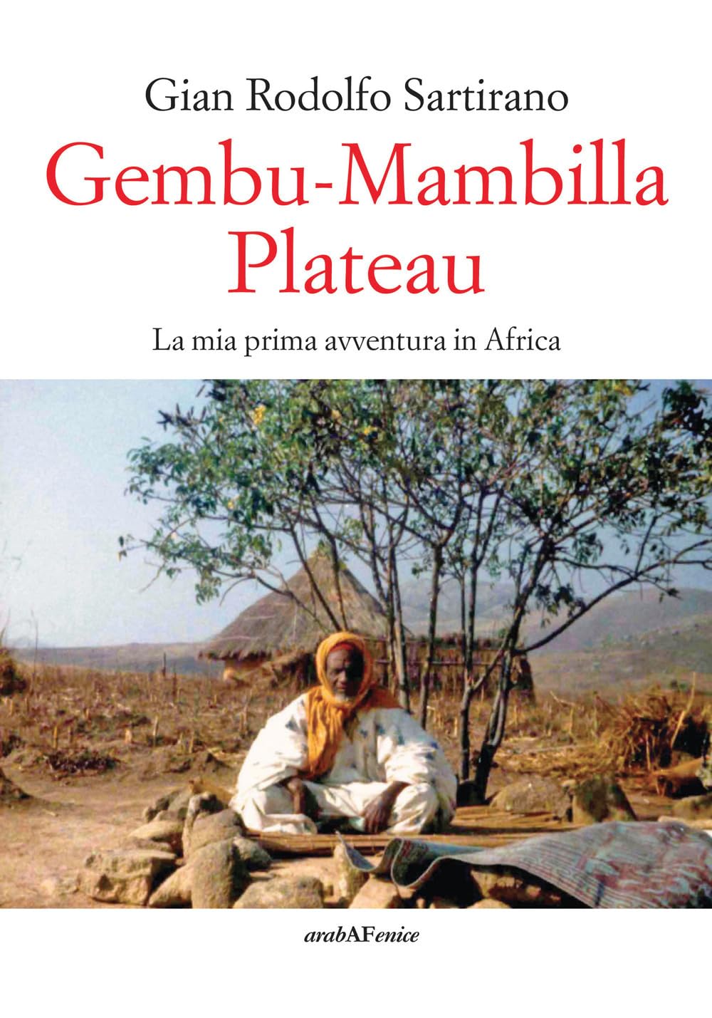 Gembu-Mambilla plateau. La mia prima avventura in Africa book