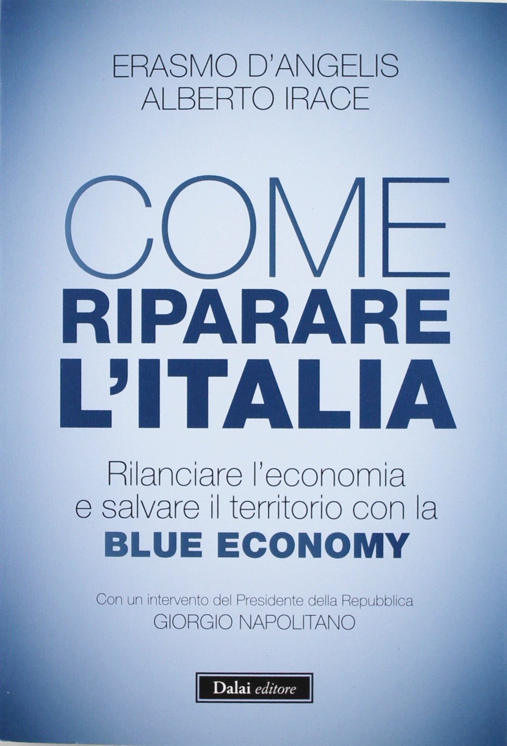 Come riparare l'Italia. Rilanciare l'economia e salvare il territorio con la Blue Economy (I saggi) Business, Finance & Career