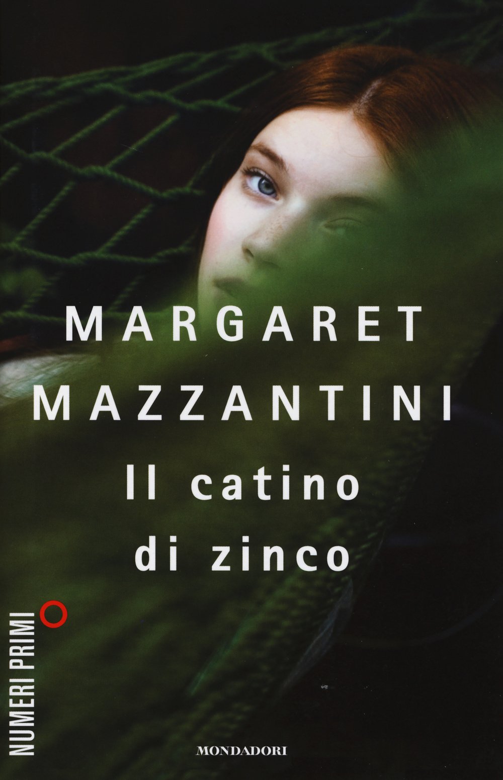 Il catino di zinco book