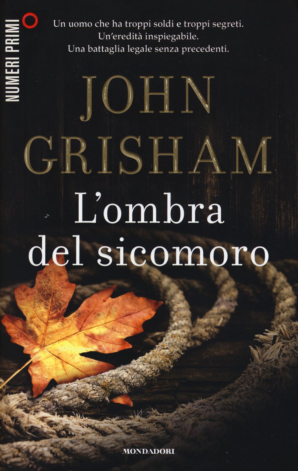 L'ombra del sicomoro (NumeriPrimi) Contemporary literature
