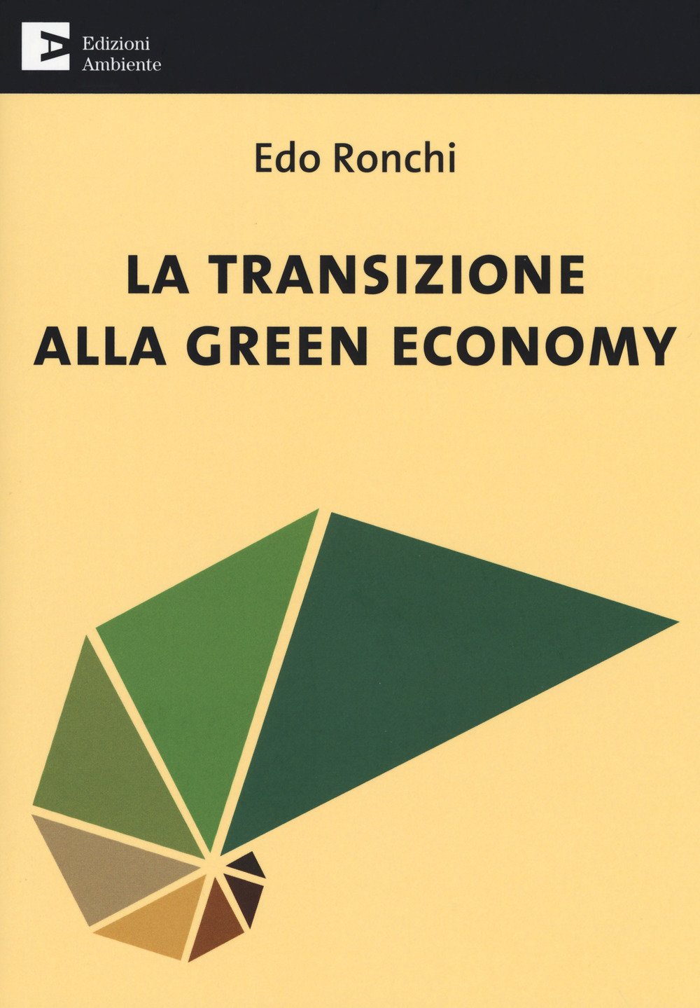 La transizione alla green economy book