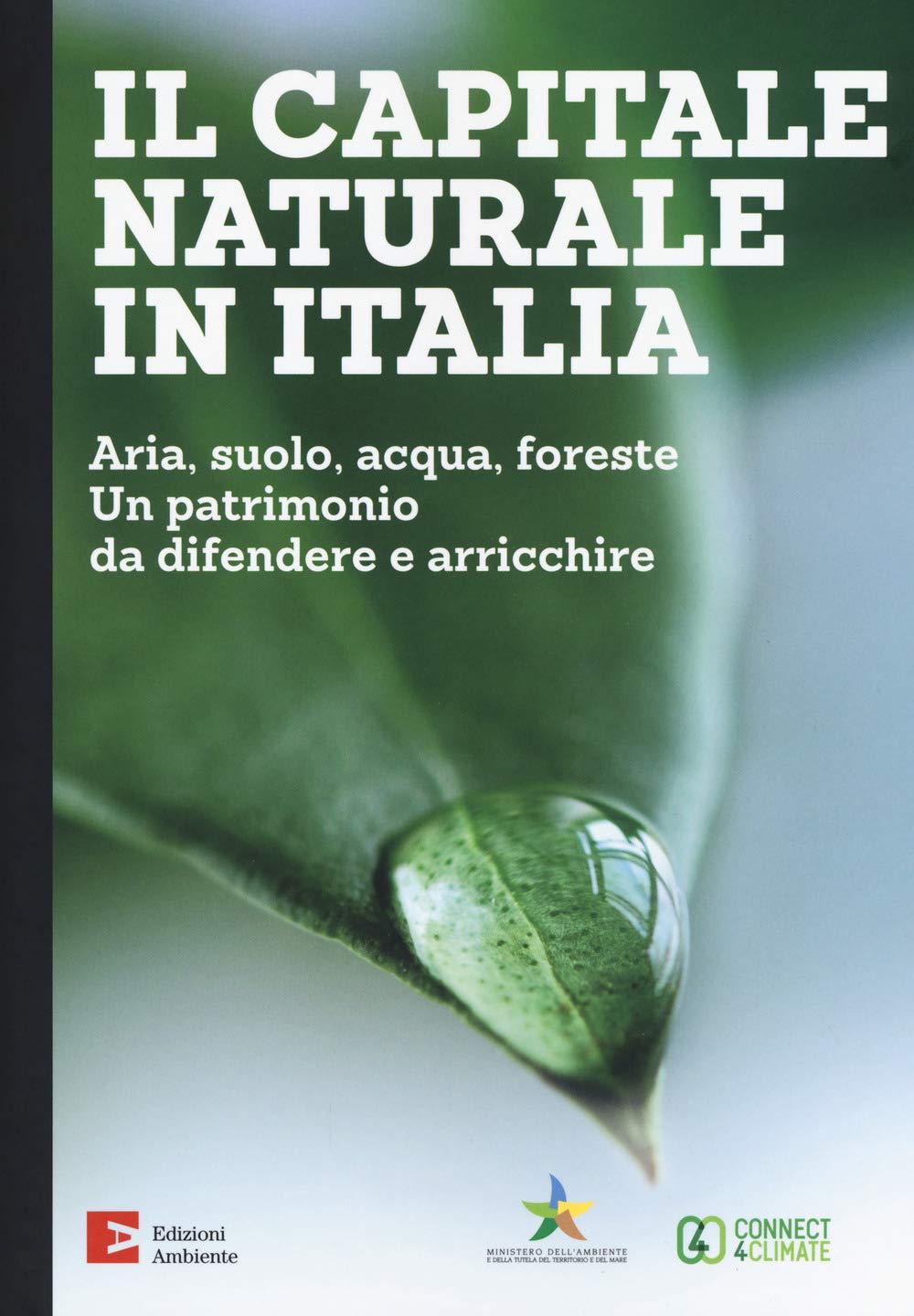 Il capitale naturale in Italia. Aria, suolo, acqua, foreste. Un patrimonio da difendere e arricchire book