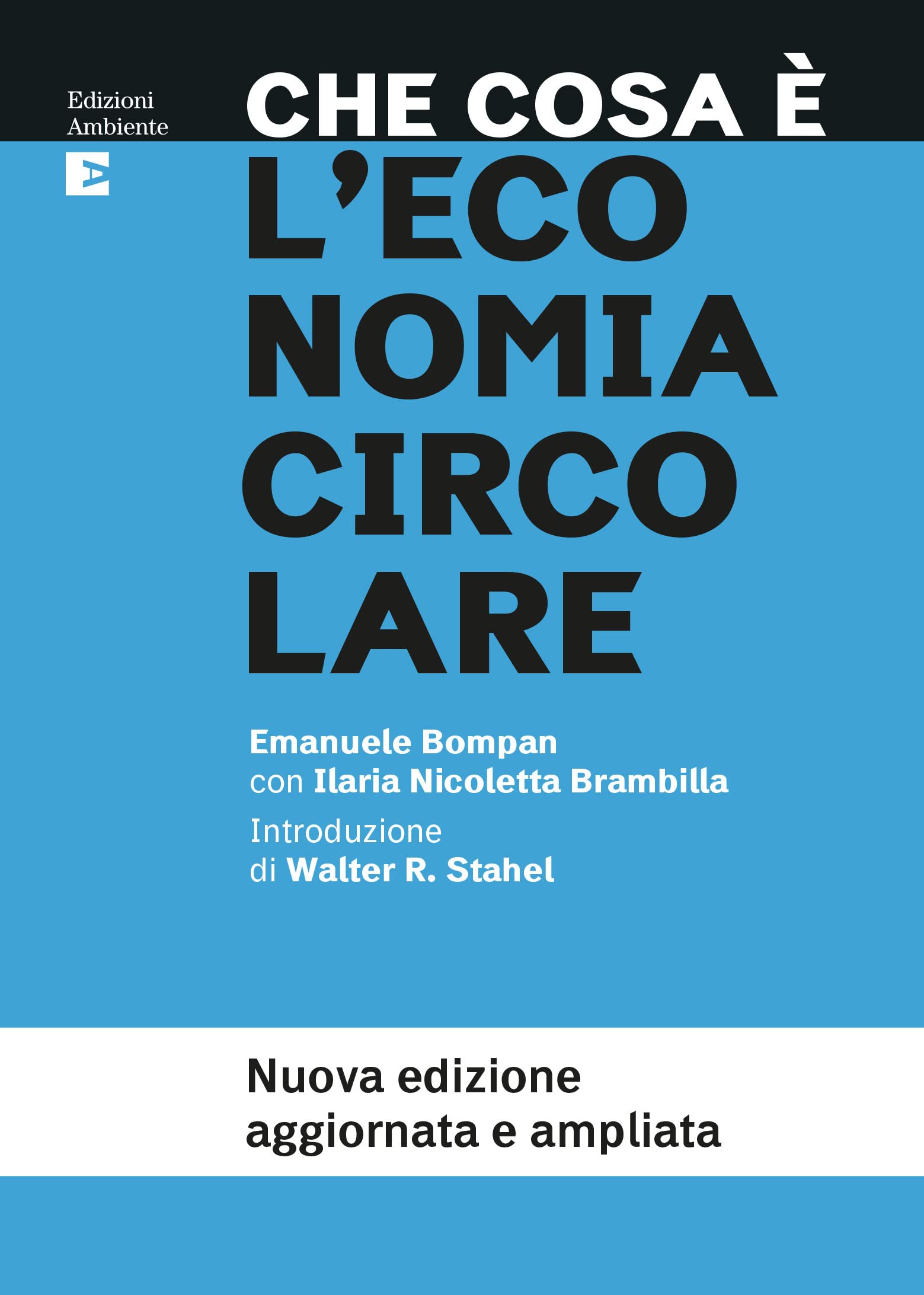 Che cosa è l'economia circolare. Nuova ediz. book