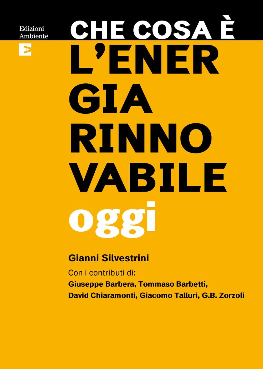 Che cosa è l'energia rinnovabile oggi Business, Finance & Career