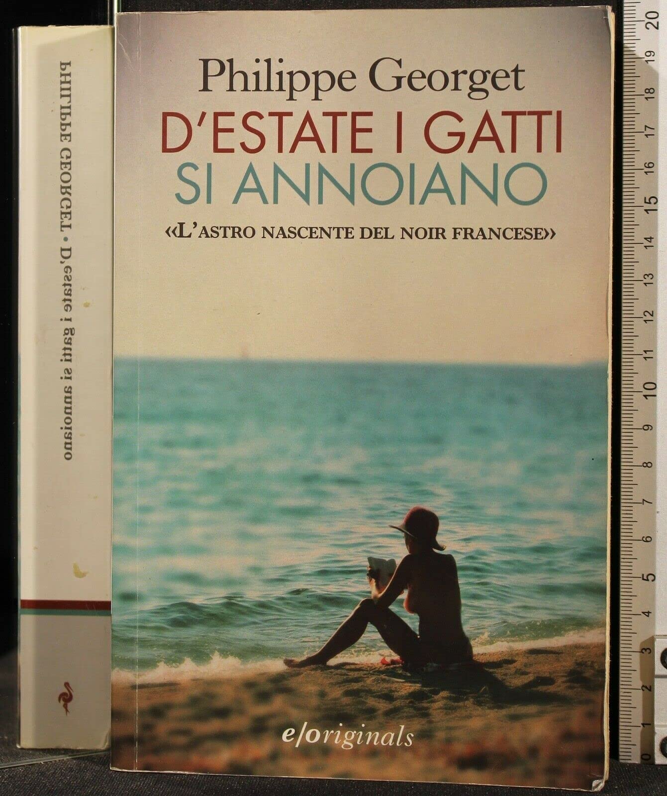 D'estate i gatti si annoiano book