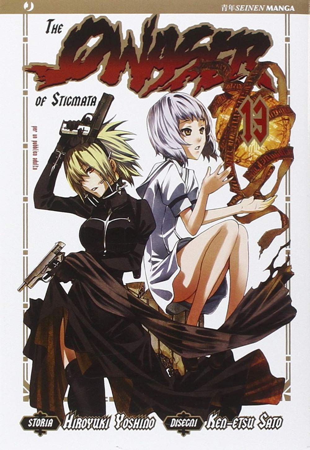 The qwaser of stigmata (Vol. 13) book