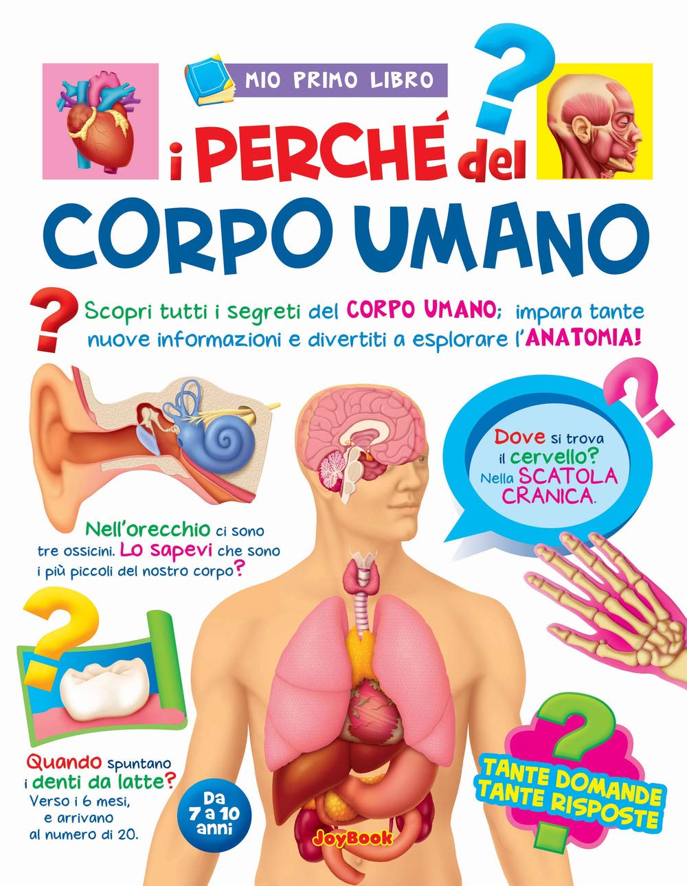 I perché del corpo umano. Ediz. illustrata (Mio primo libro) Non-fiction