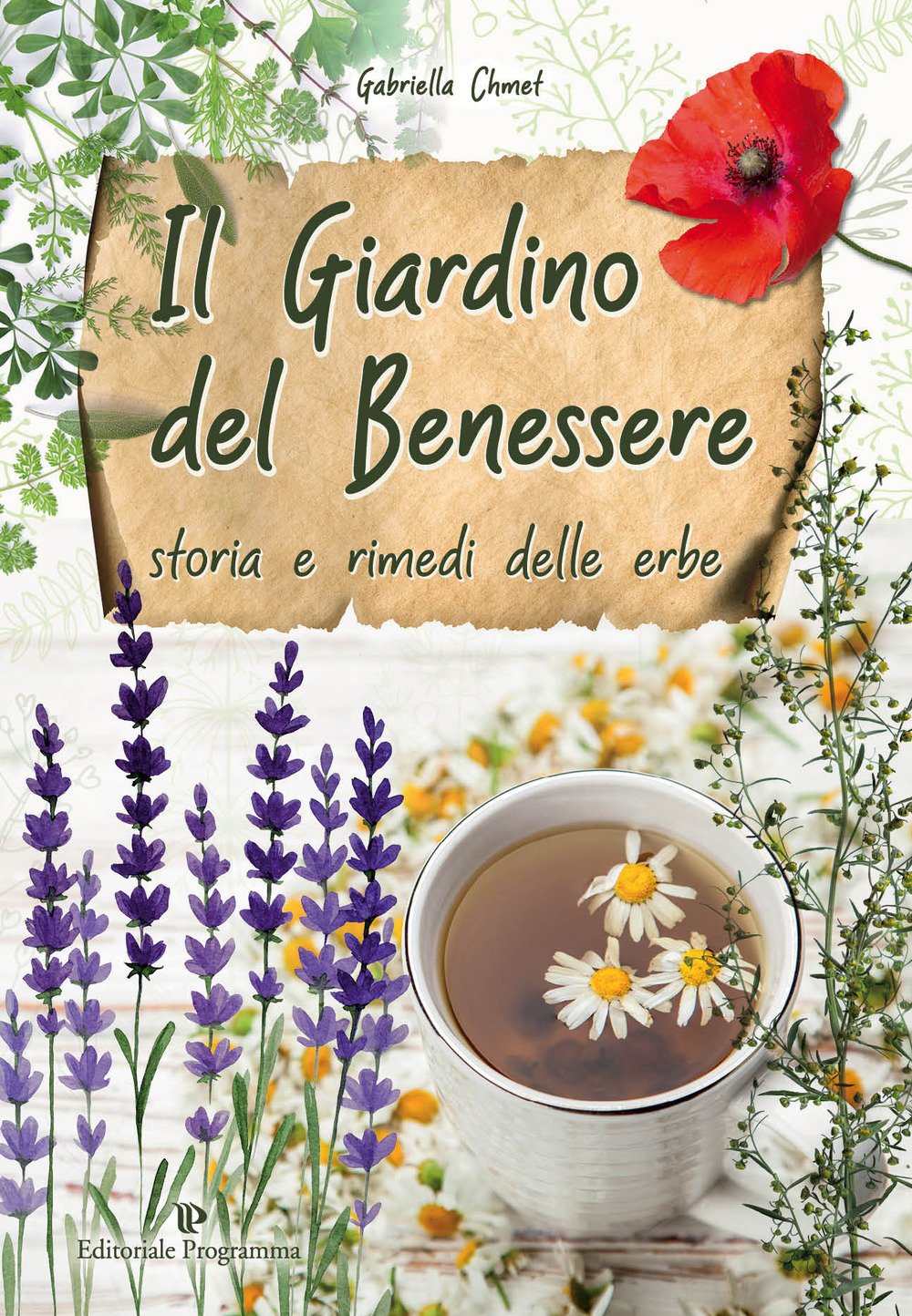 Il giardino del benessere. Storia e rimedi delle erbe book