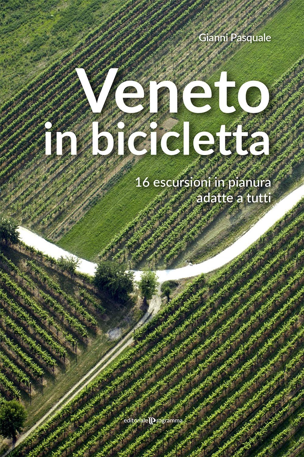 Veneto in bicicletta. 16 escursioni in pianura adatte a tutti book