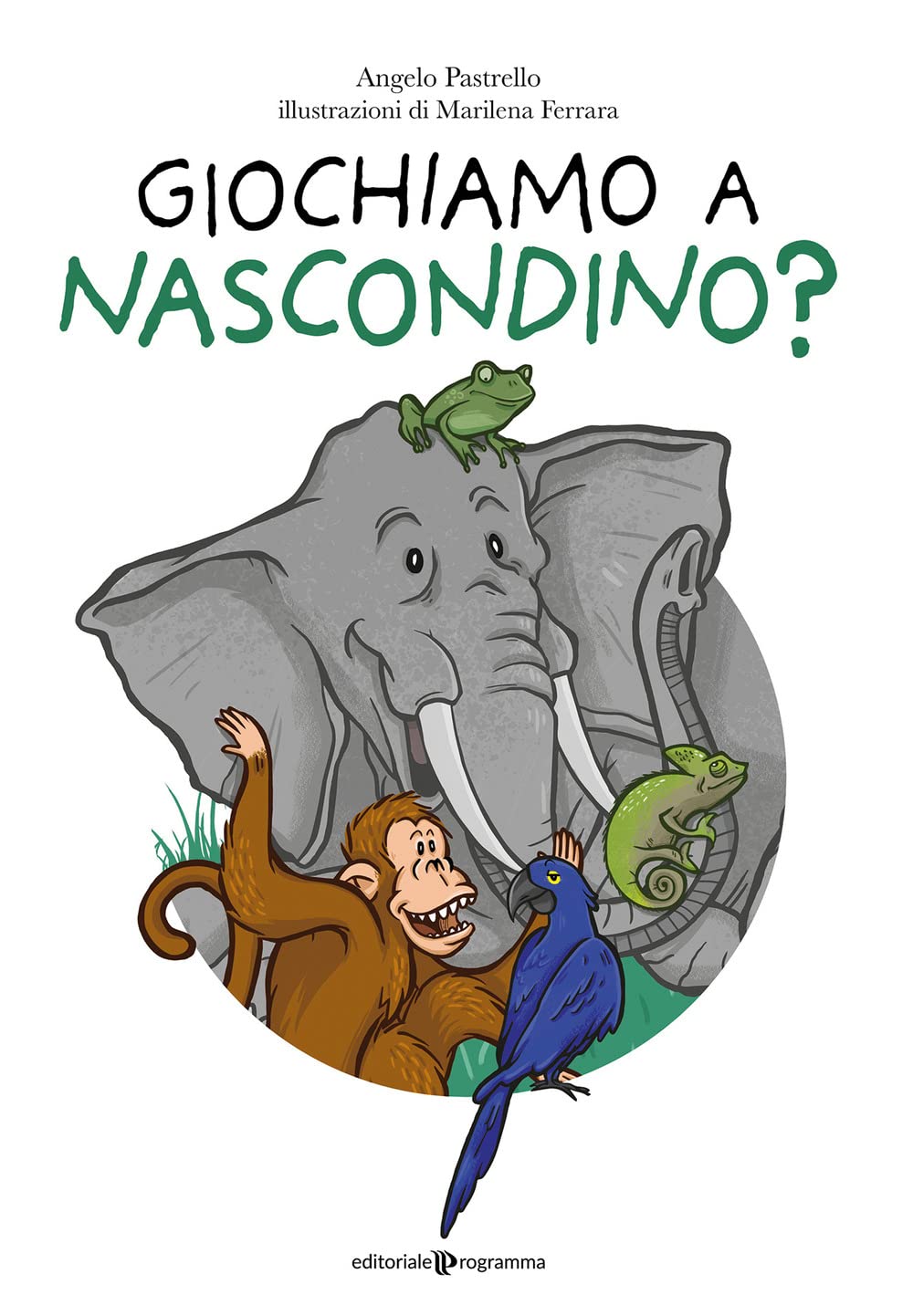 Giochiamo a nascondino? Ediz. illustrata Non-fiction