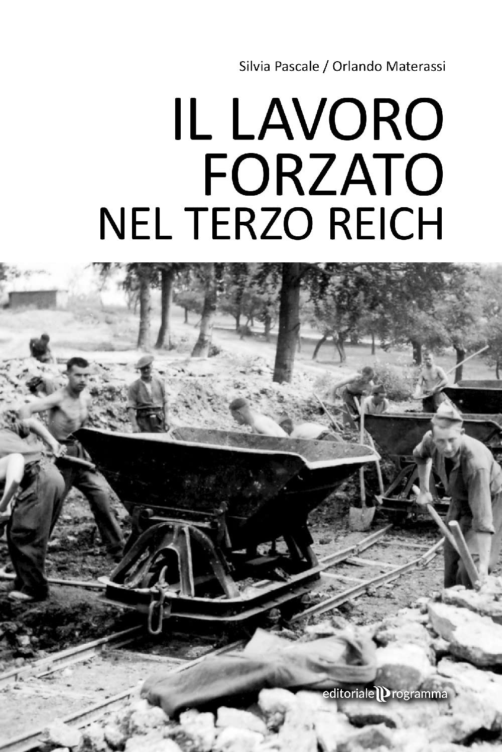 Il lavoro forzato nel Terzo Reich book