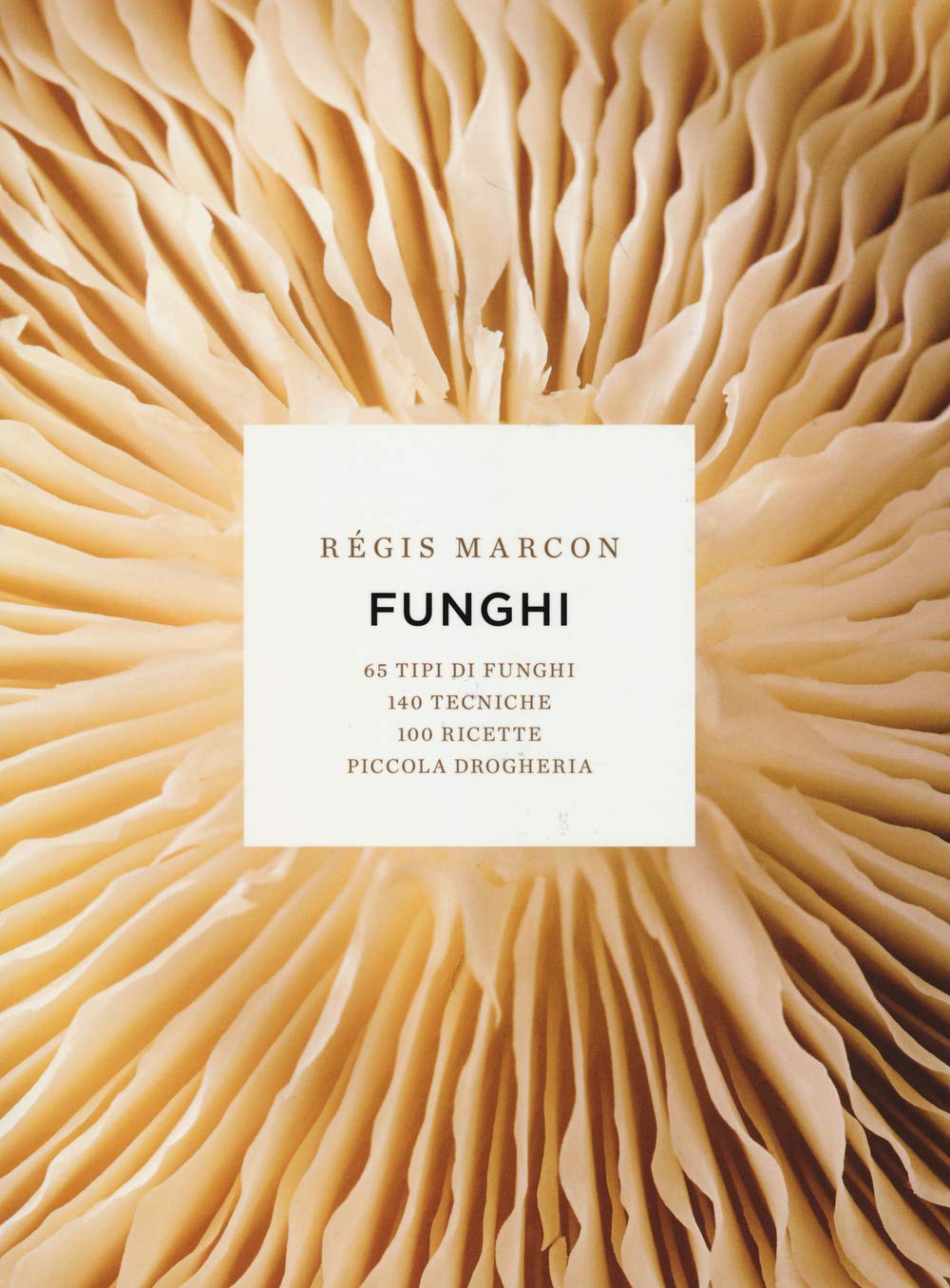 Funghi. 65 tipi di funghi, 140 tecniche, 100 ricette, piccola drogheria. Ediz. illustrata book