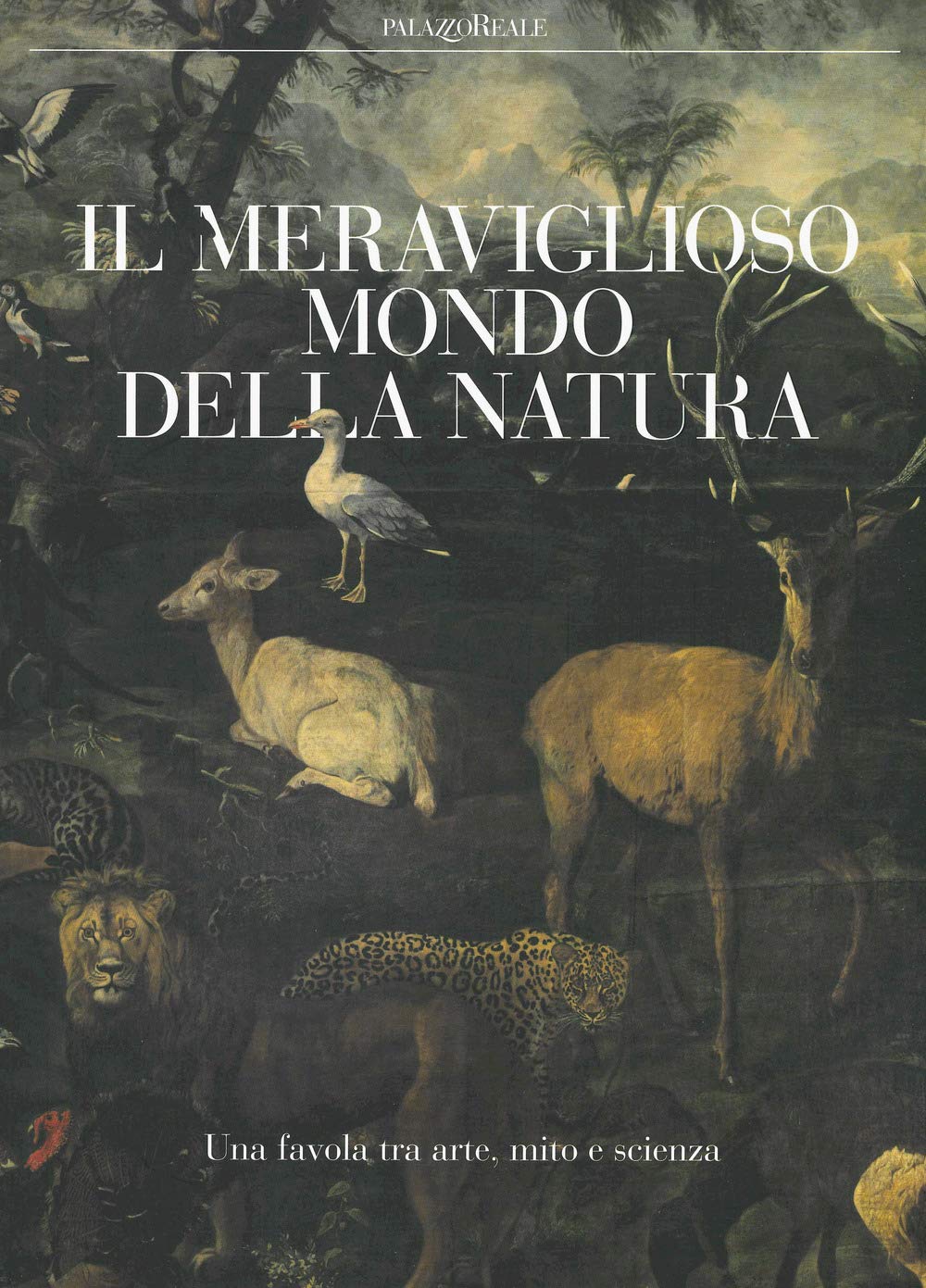 Il meraviglioso mondo della natura. Una favola tra arte, mito e scienza. Catalogo della mostra (Milano, 13 marzo-14 luglio 2019). Ediz. a colori book