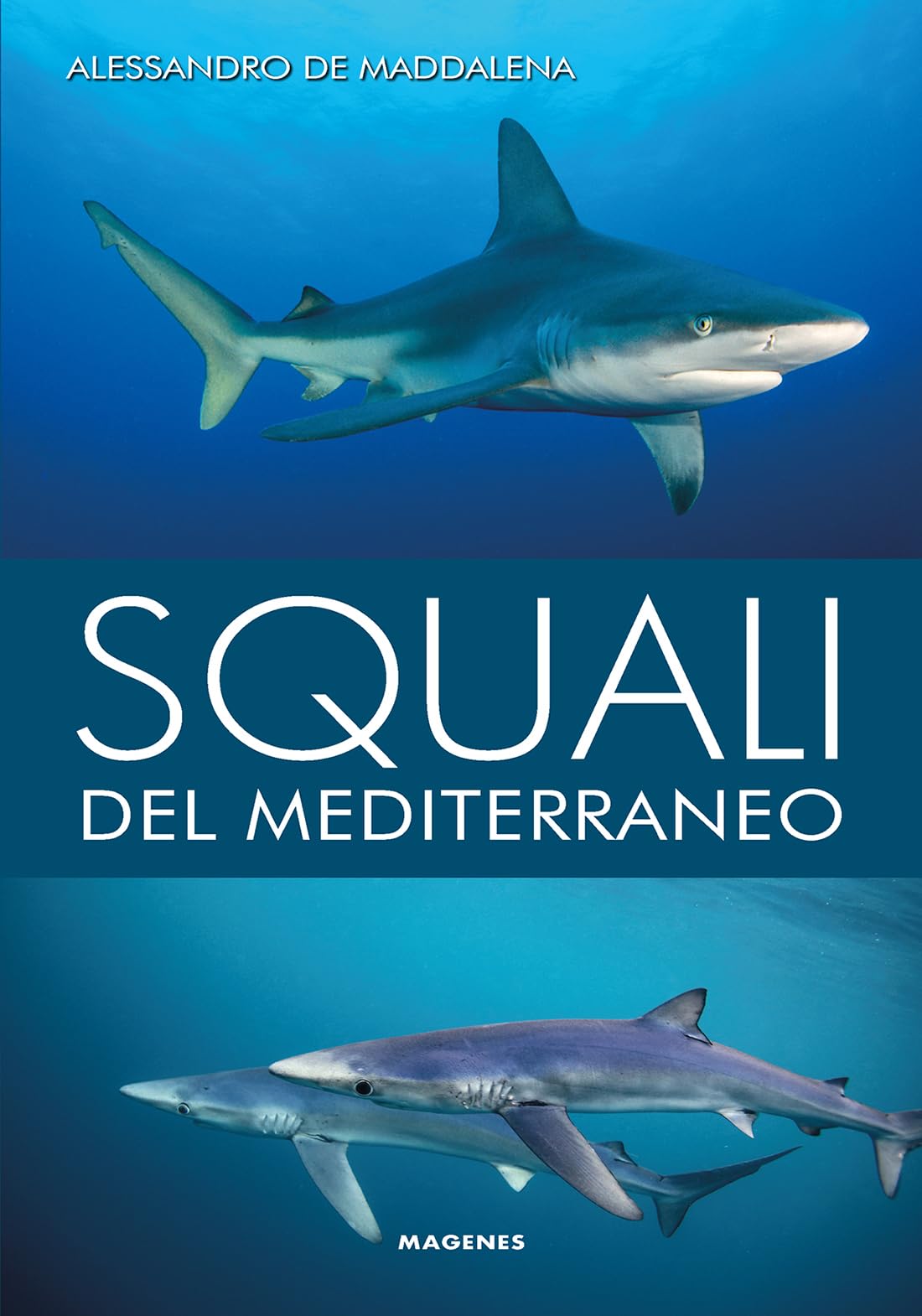 Squali del Mediterraneo. Ediz. a colori book