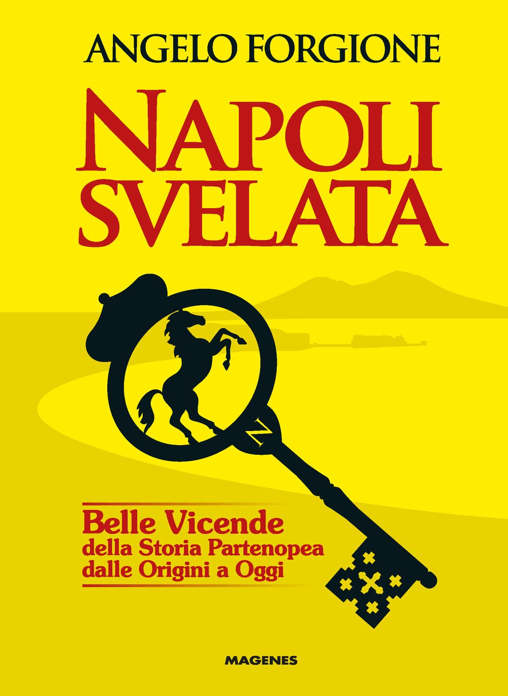 Napoli svelata. Belle vicende della storia partenopea dalle origini a oggi (Voci dal Sud) Books