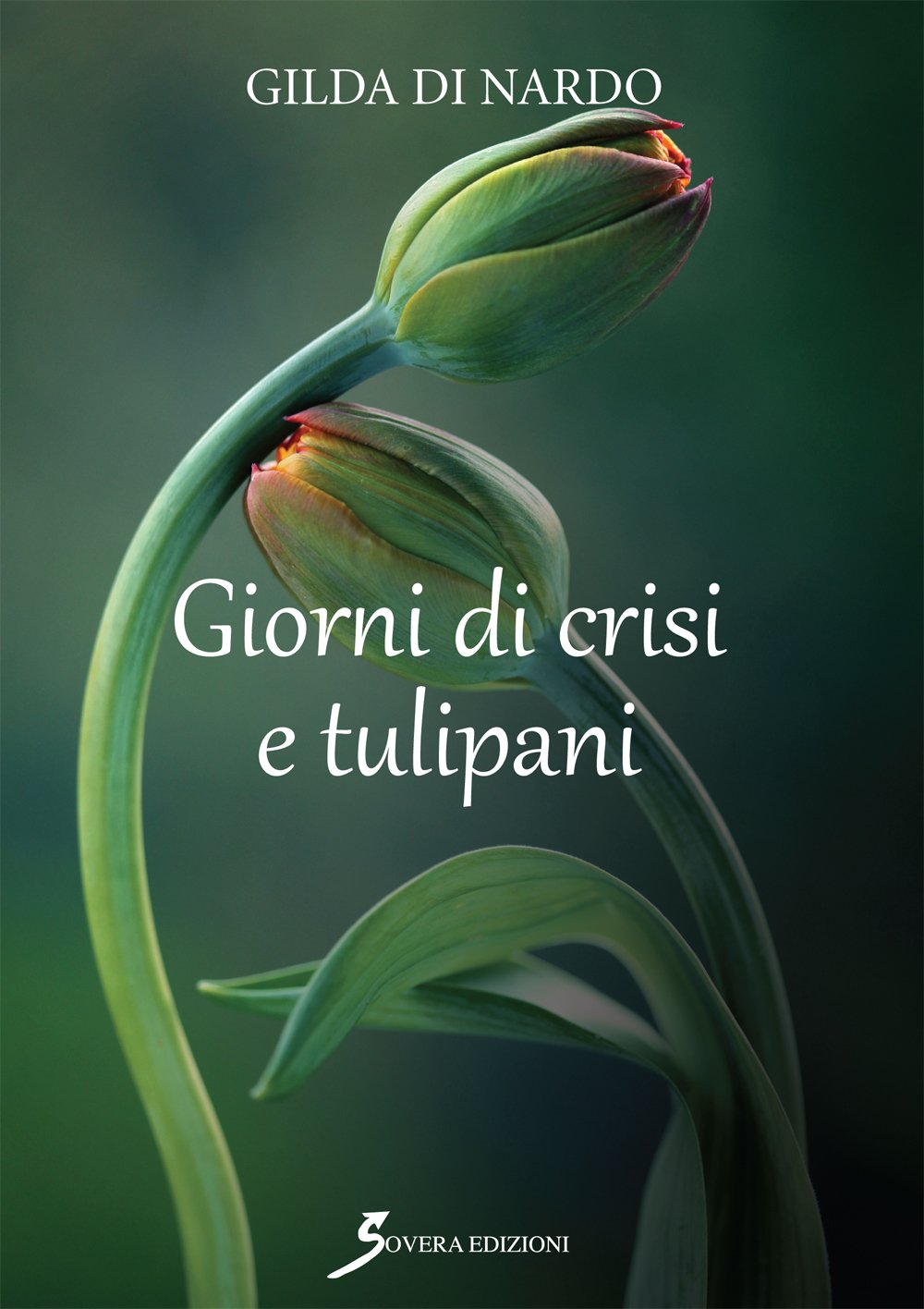 Giorni di crisi e tulipani book