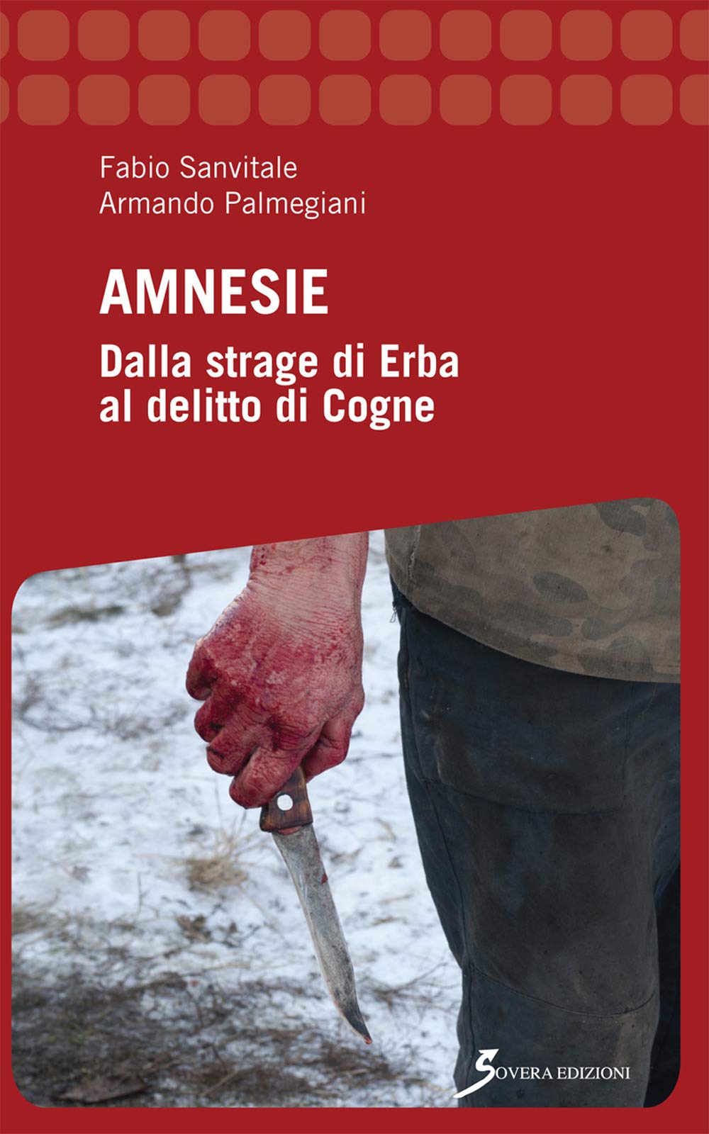 Amnesie. Dalla strage di Erba al delitto di Cogne (Inchieste) Social Sciences