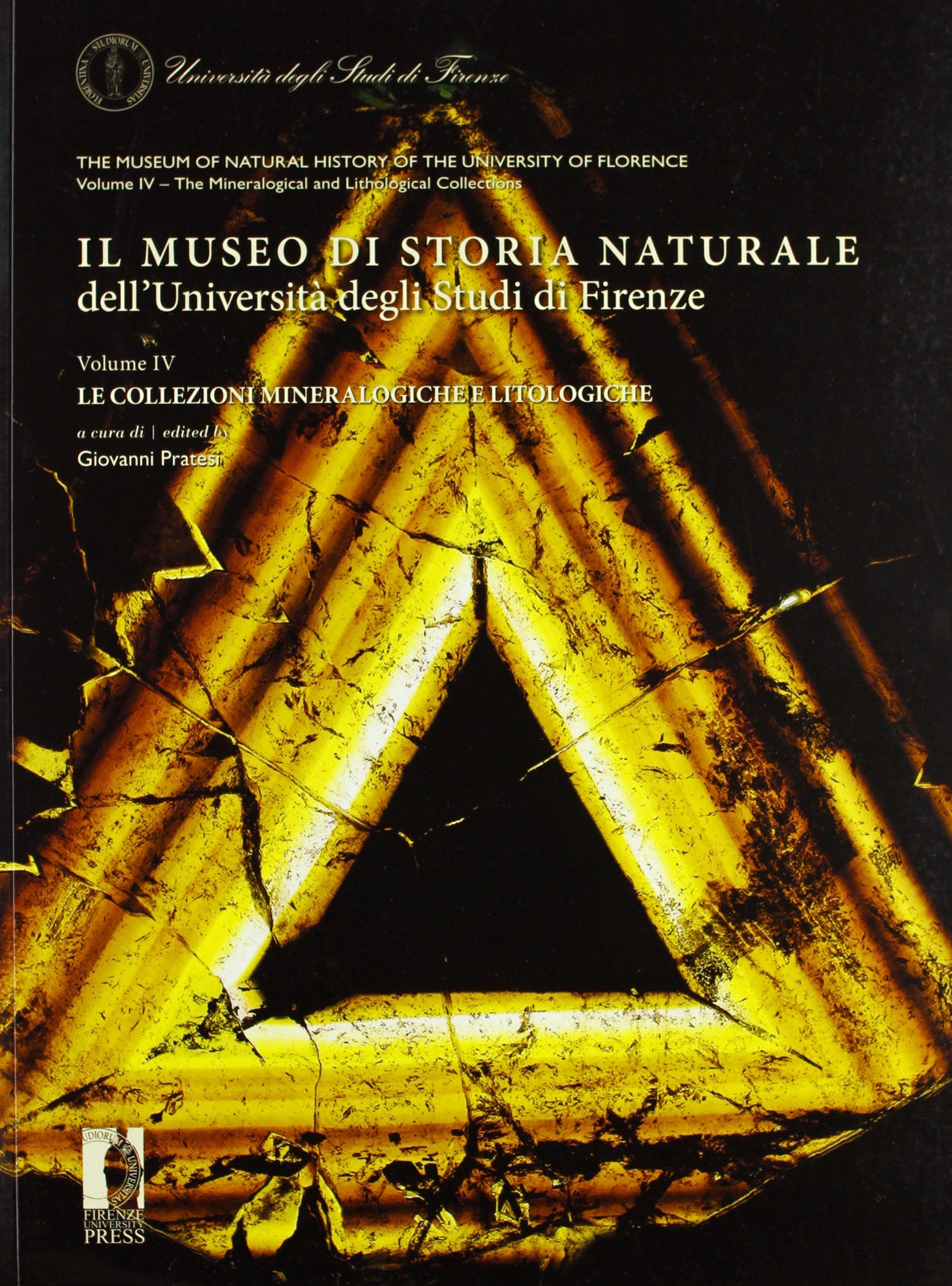 Il museo di storia naturale dell'Università degli Studi di Firenze. Le collezioni mineralogiche e litologiche. Ediz. italiana e inglese (Cataloghi e collezioni) Social Sciences