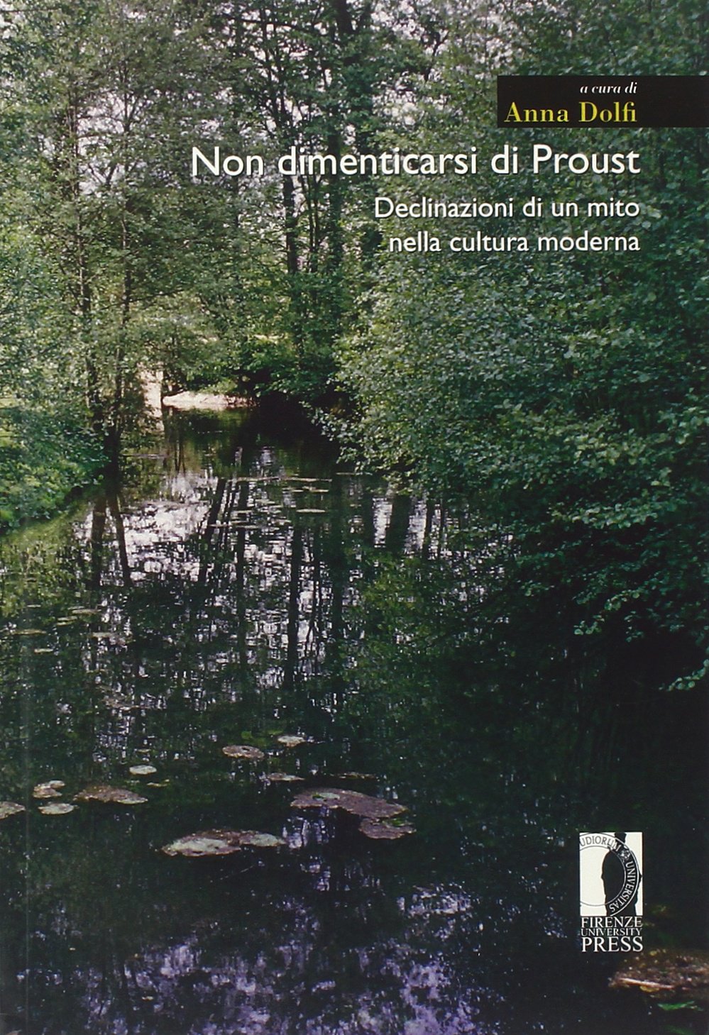 Non dimenticarsi di Proust. Declinazioni di un mito nella cultura moderna book