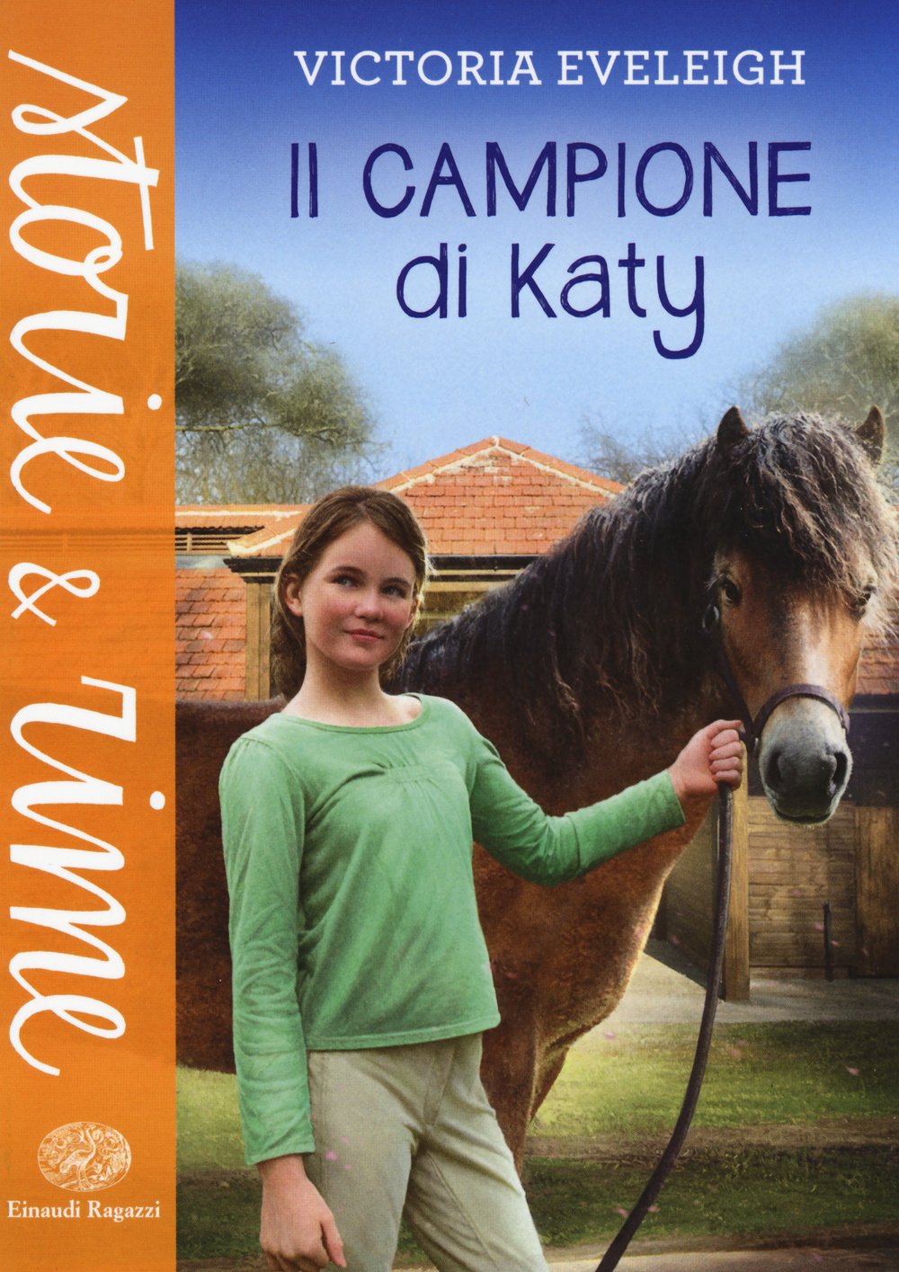 Il campione di Katy book