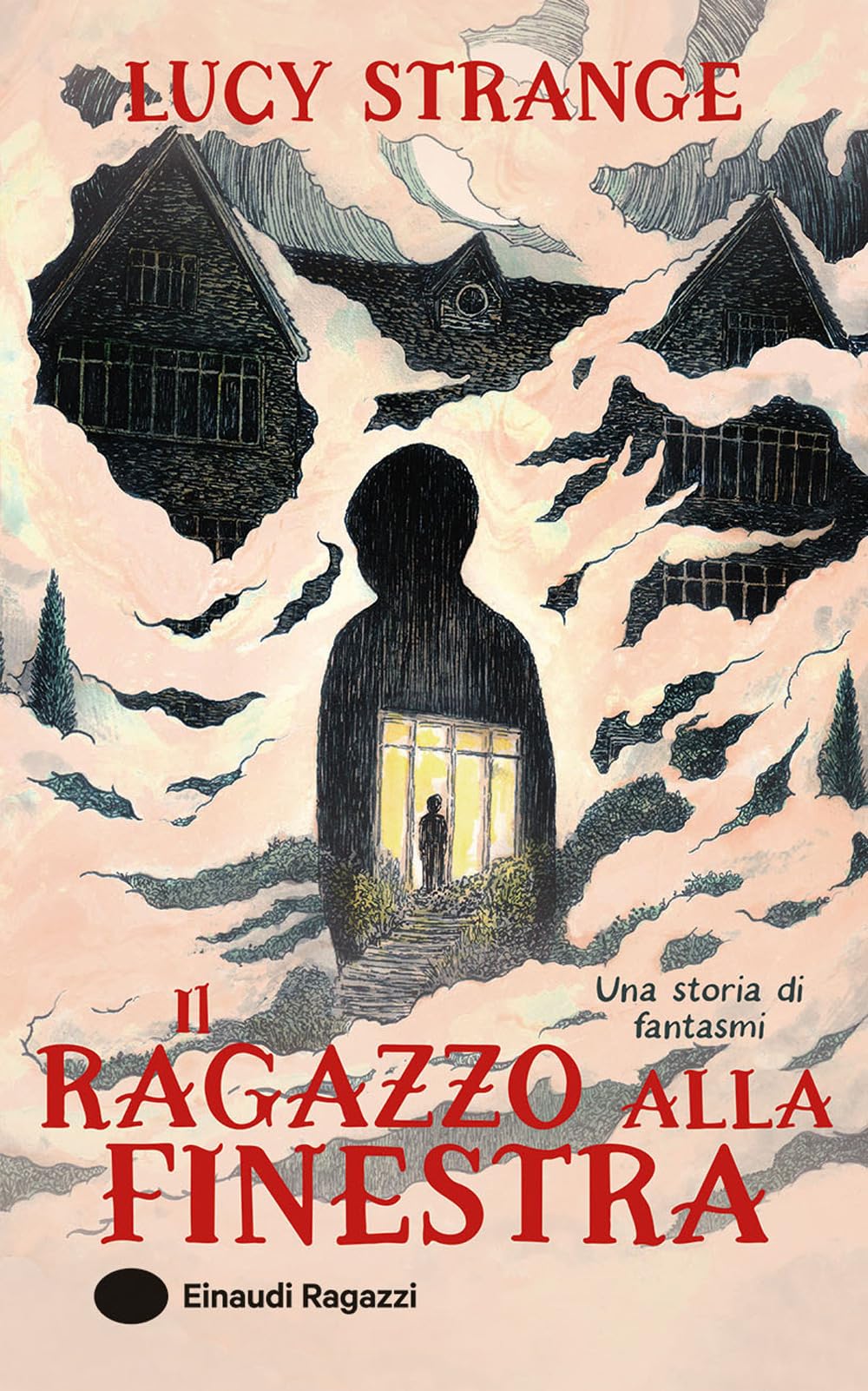 Il ragazzo alla finestra. Ediz. illustrata (Varia) Novels & Short Stories