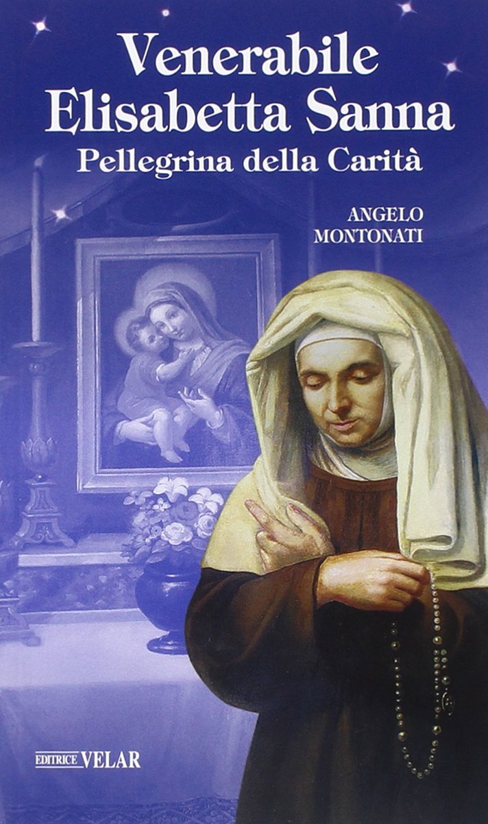 Venerabile Elisabetta Sanna. Pellegrina della Carità (Blu. Messaggeri d'amore) Politics & History