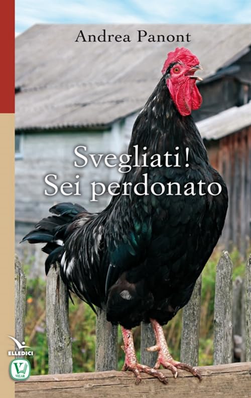 Svegliati! Sei perdonato (Scritti col cuore) Religion & Esotericism