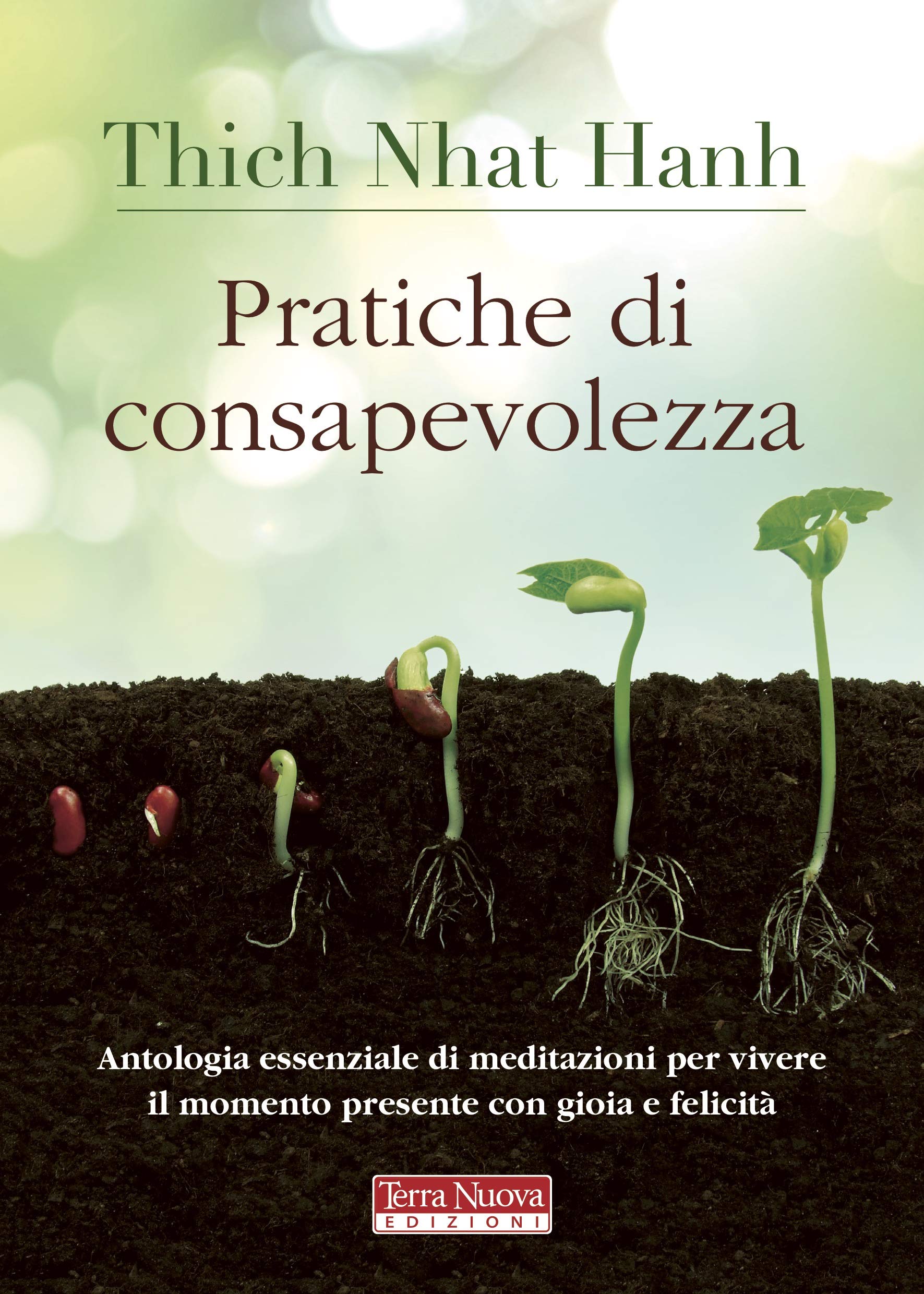 Pratiche di consapevolezza. Antologia essenziale di meditazioni per vivere il momento presente con gioia e felicità (Ricerca interiore) Religion & Esotericism
