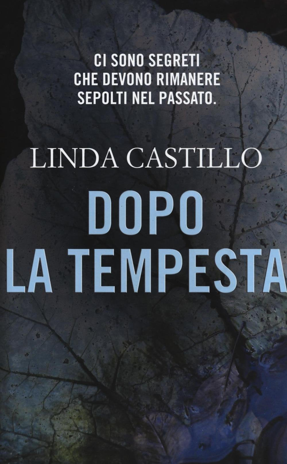 Dopo la tempesta (Narrativa) Contemporary literature