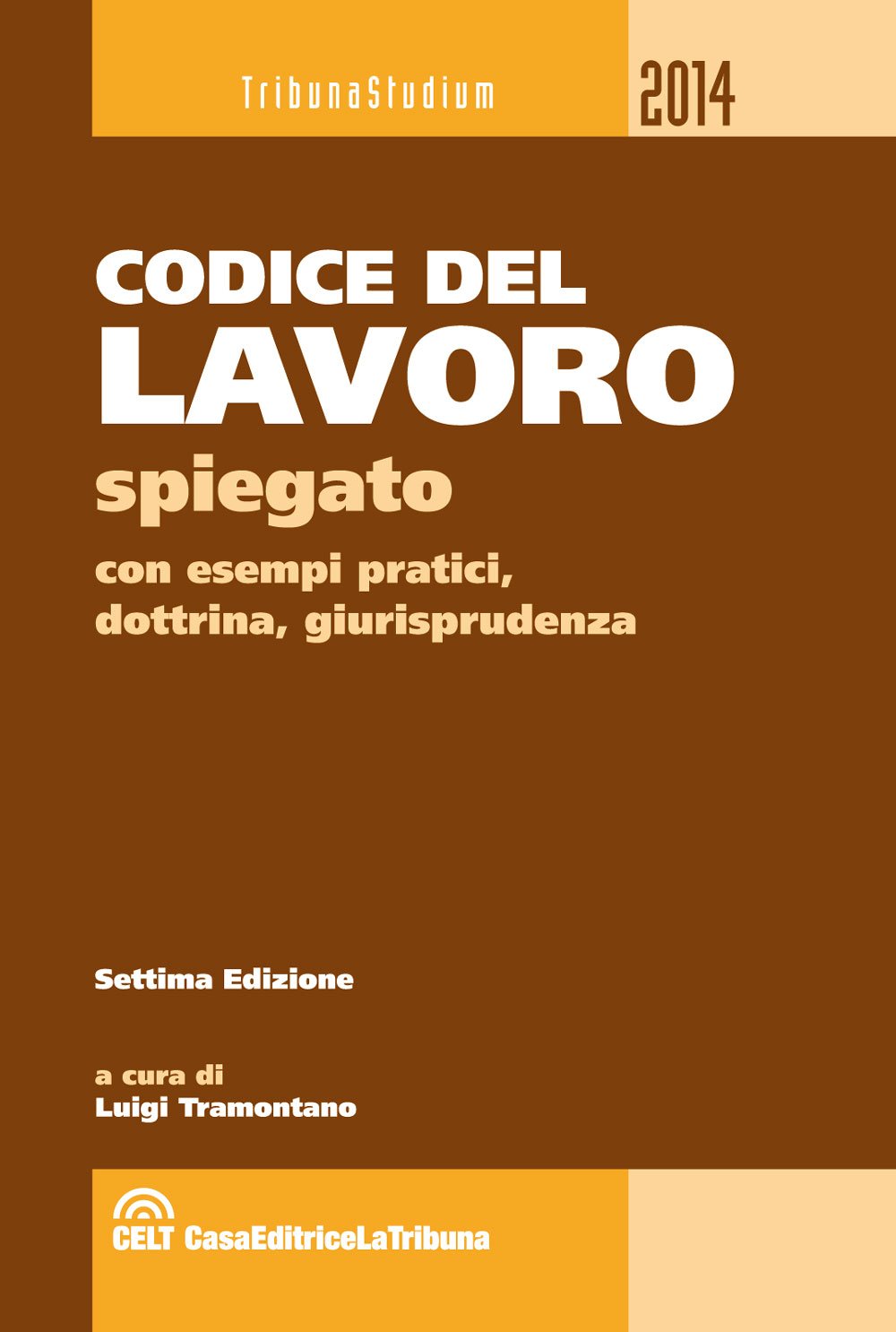 Codice del lavoro spiegato con esempi pratici, dottrina, giurisprudenza book