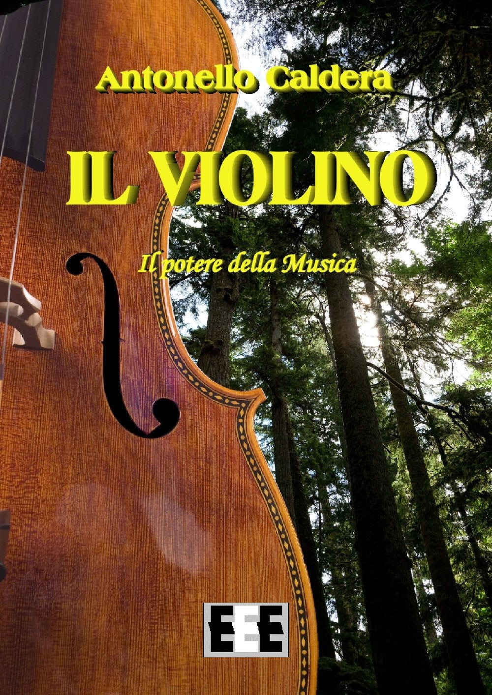 Il violino. Il potere della musica book