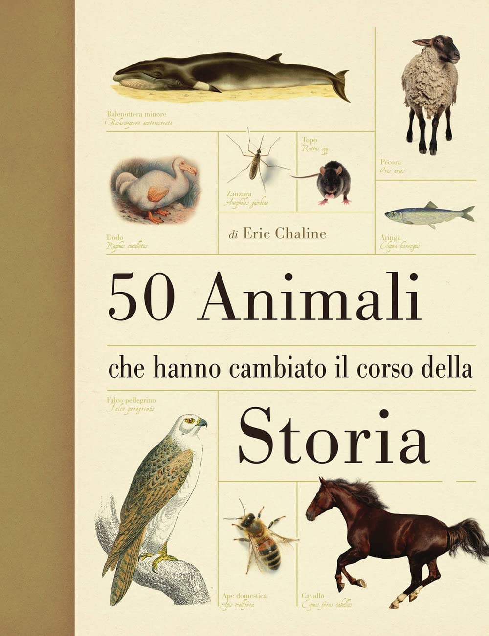 50 animali che hanno cambiato la storia Leisure, Home & Garden