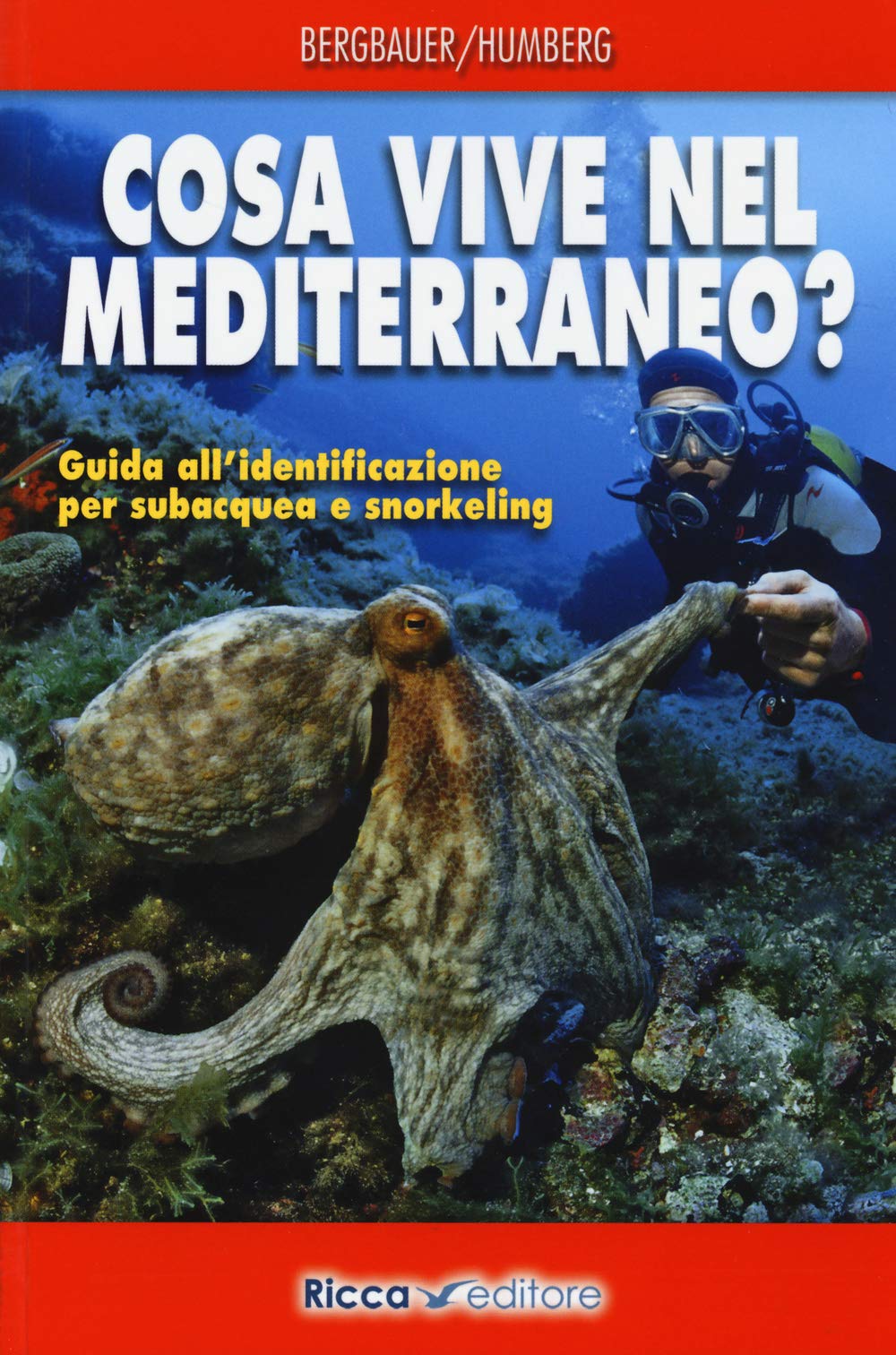Cosa vive nel Mediterraneo? Guida all'identificazione per i subacquea e snorkeling Leisure, Home & Garden