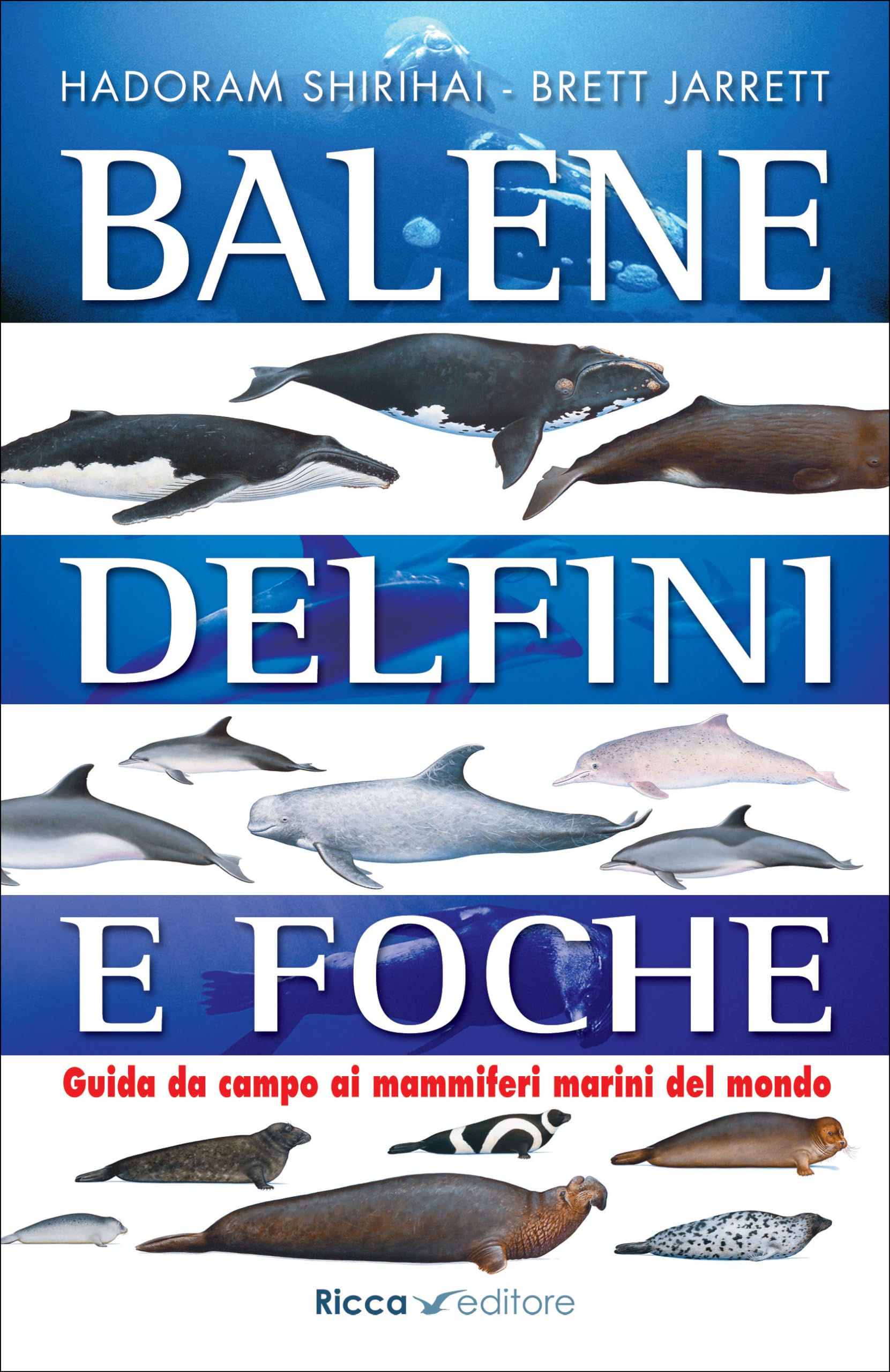 Balene, delfini, foche. Guida da campo ai mammiferi marini del mondo Leisure, Home & Garden