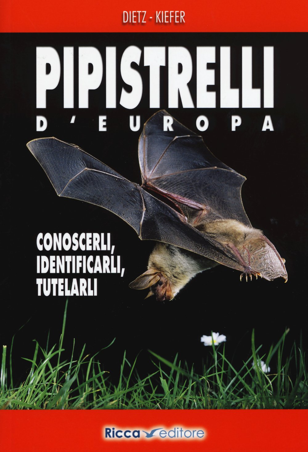 Pipistrelli d'Europa. Conoscerli, identificarli, tutelarli book