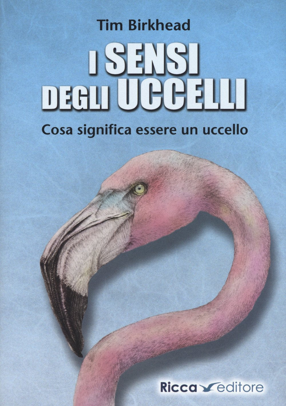i sensi degli uccelli. Cosa significa essere un uccello book