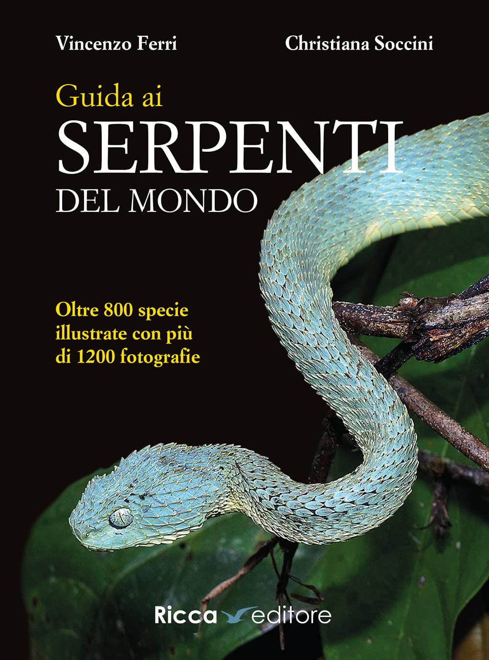 Guida ai serpenti del mondo. Ediz. a colori (Scienze naturali. Manuali) Leisure, Home & Garden