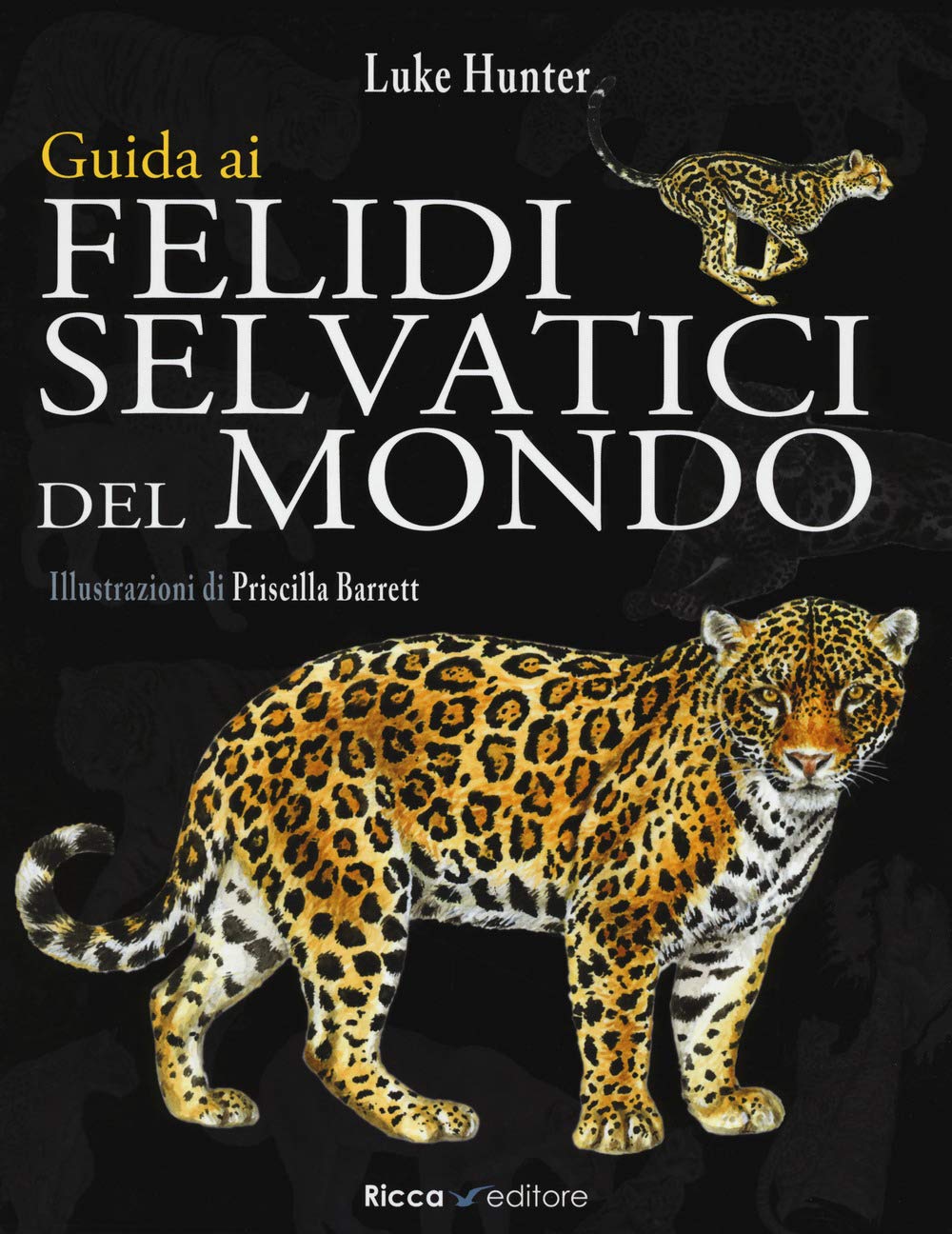 Guida ai felidi selvatici del mondo Leisure, Home & Garden