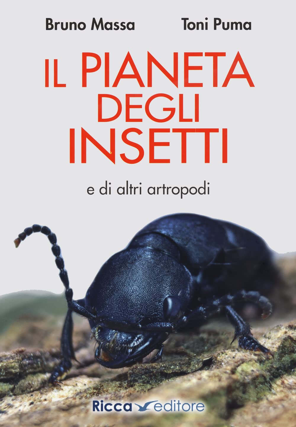 Il pianeta degli insetti e di altri artropodi book