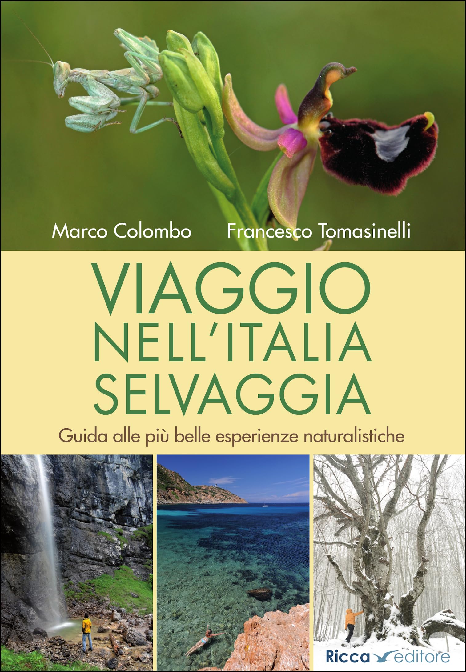Viaggio nell'Italia selvaggia. Guida alle più belle esperienze naturalistiche. Ediz. illustrata (Scienze naturali. Manuali) Leisure, Home & Garden