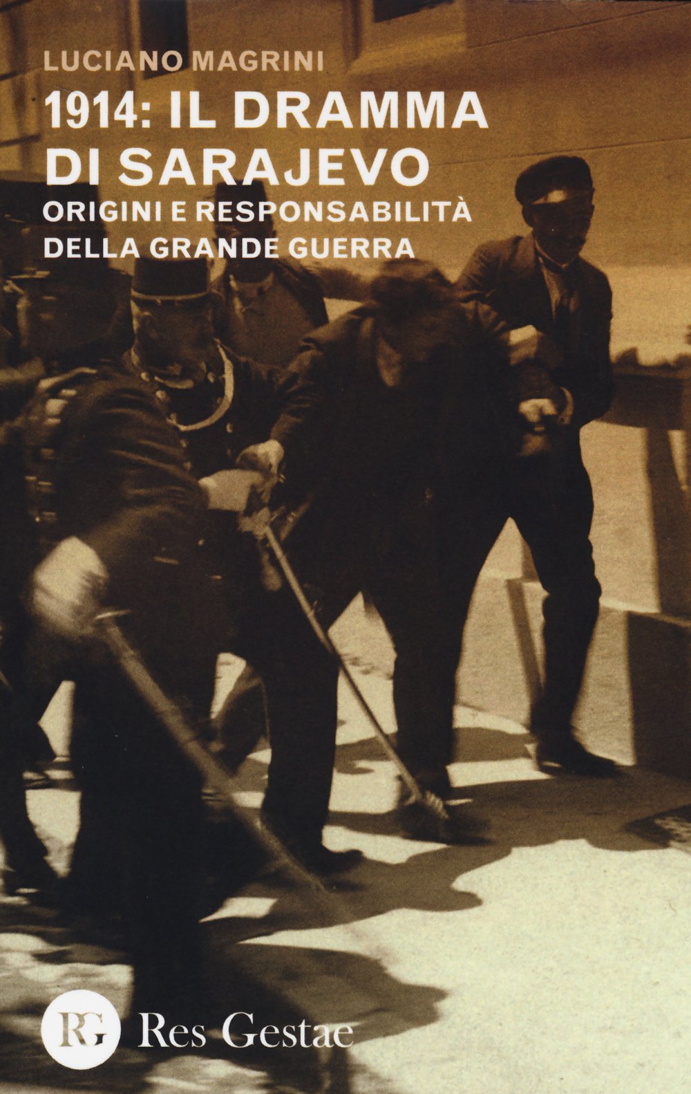 1914: il dramma di Sarajevo. Origini e responsabilità della Grande Guerra book