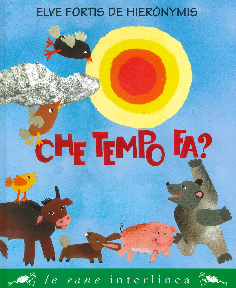Che tempo fa? Ediz. a colori book