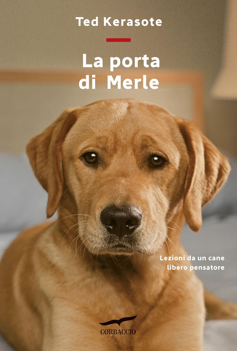La porta di Merle. Lezioni da un cane libero pensatore book