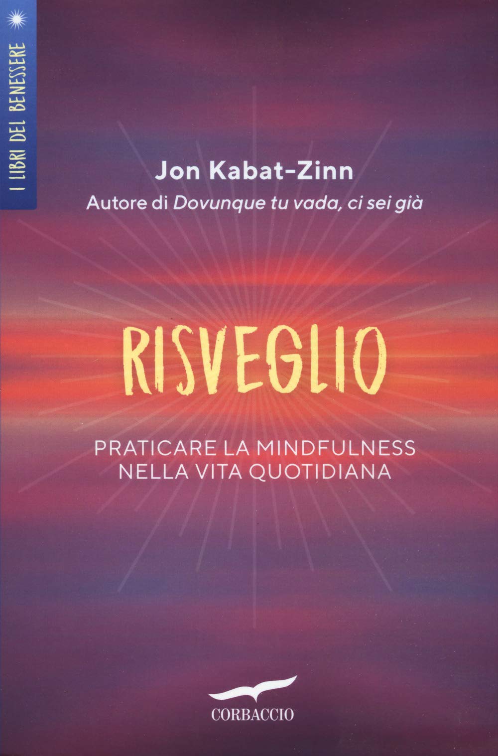 Risveglio. Praticare la mindfulness nella vita quotidiana book