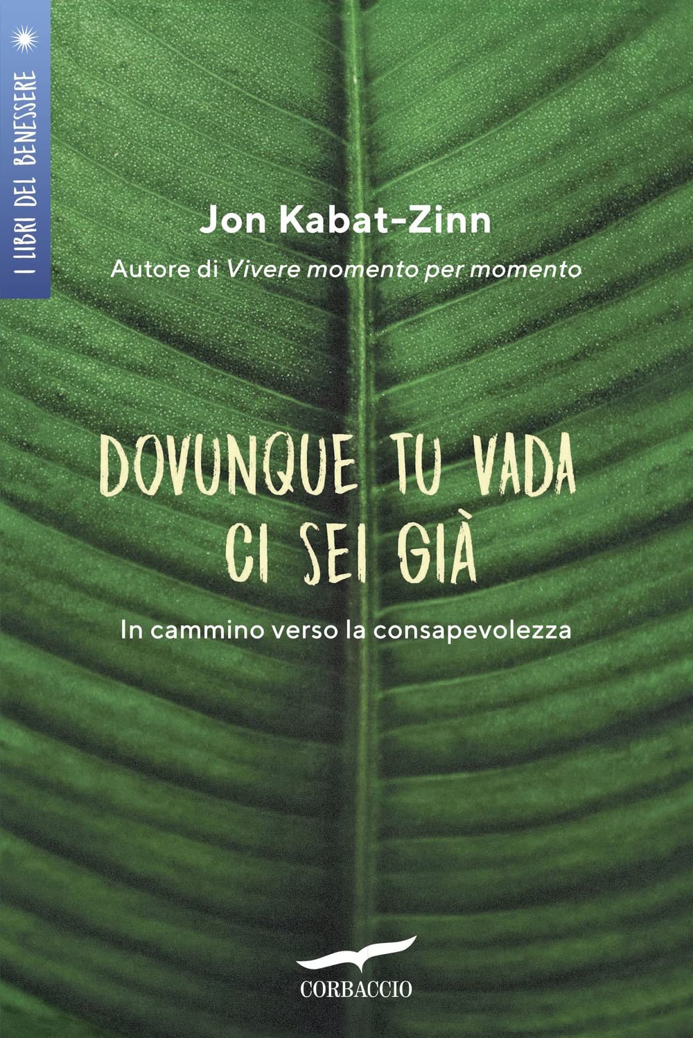 Dovunque tu vada ci sei già. In cammino verso la consapevolezza (I libri del benessere) Social Sciences